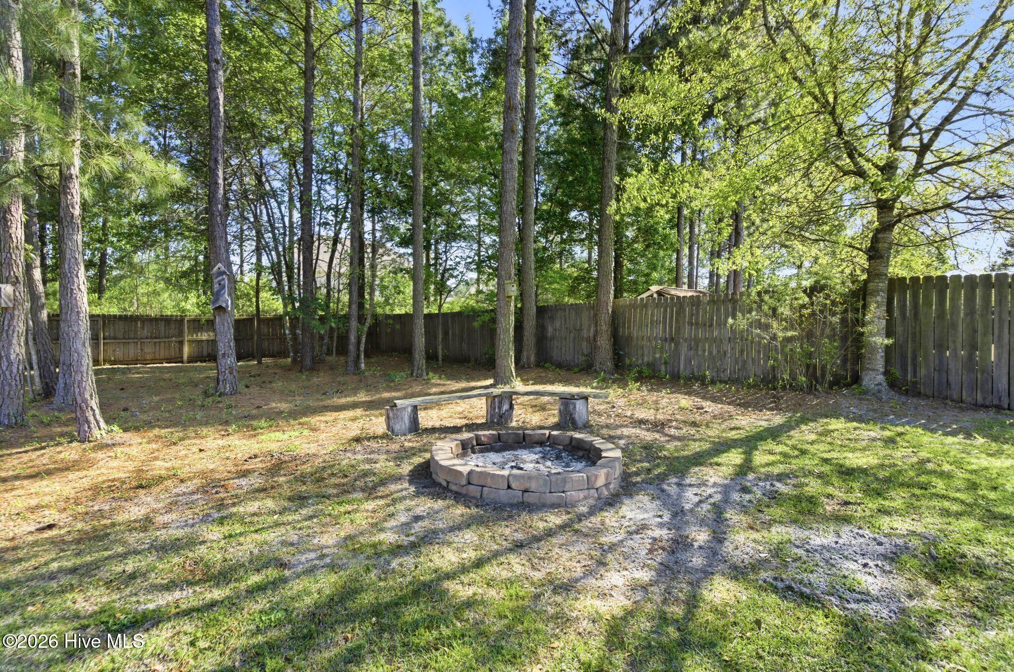 100566859 | Photo 63