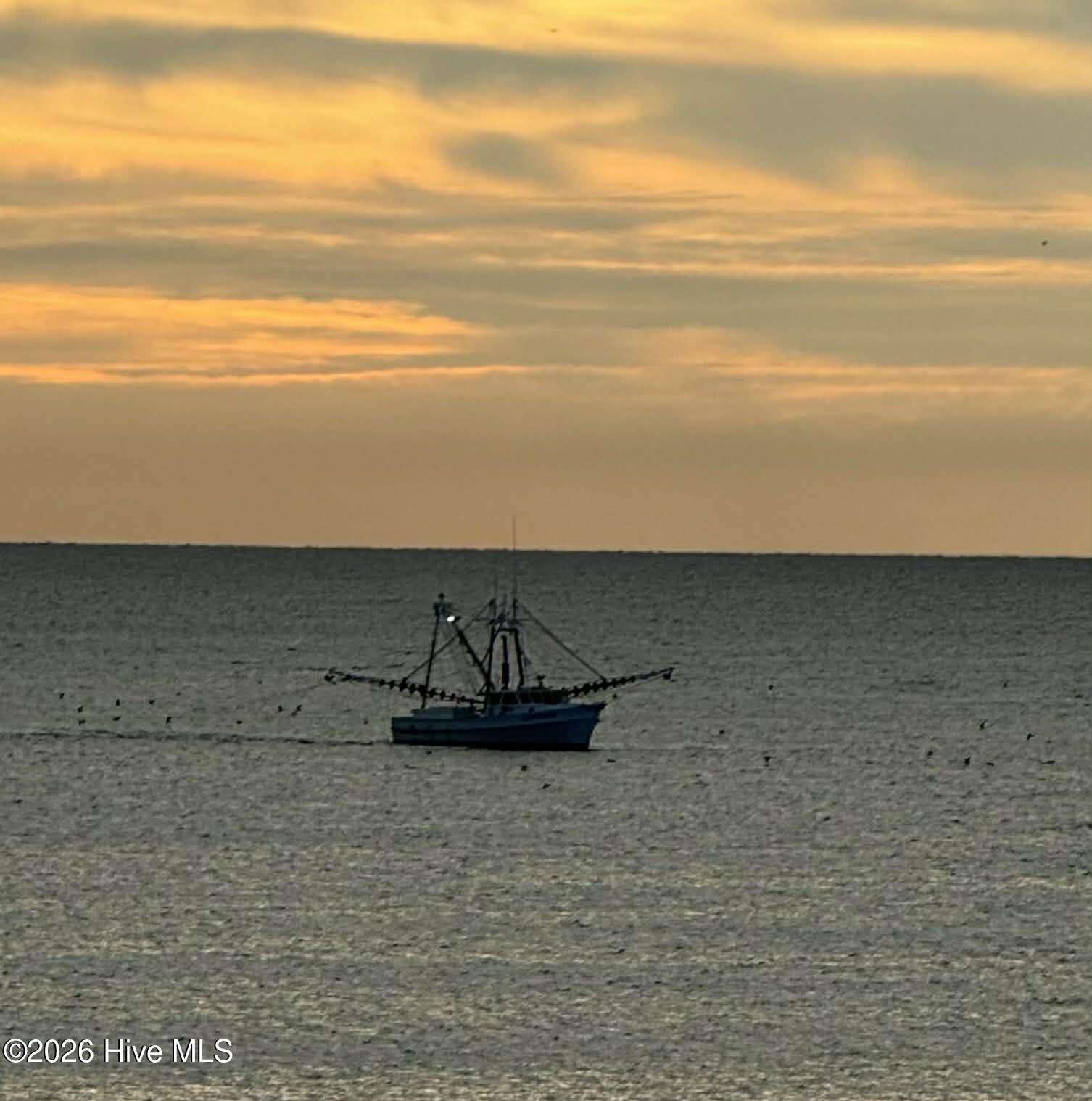 100563285 | Photo 68