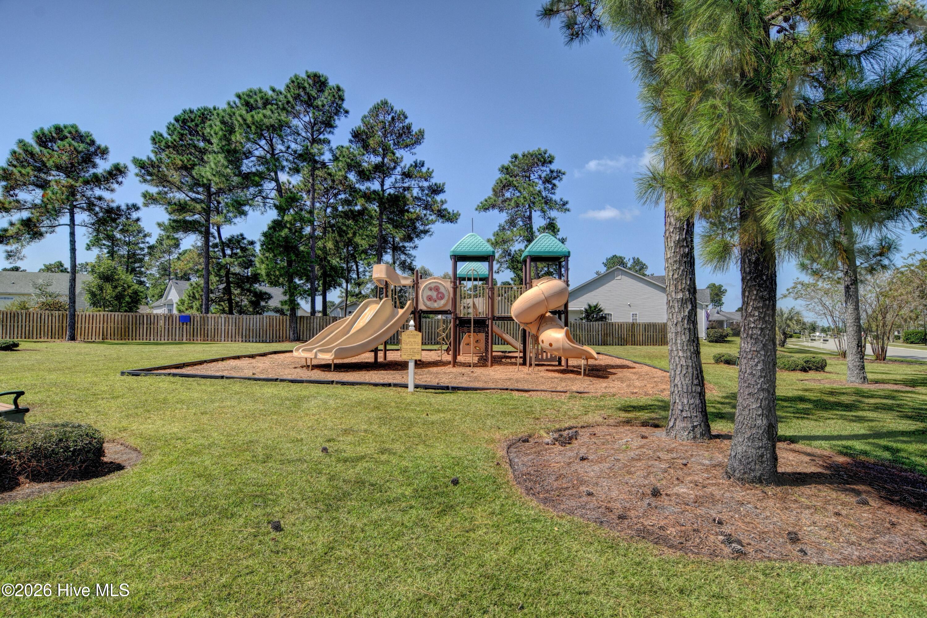 100561513 | Photo 47