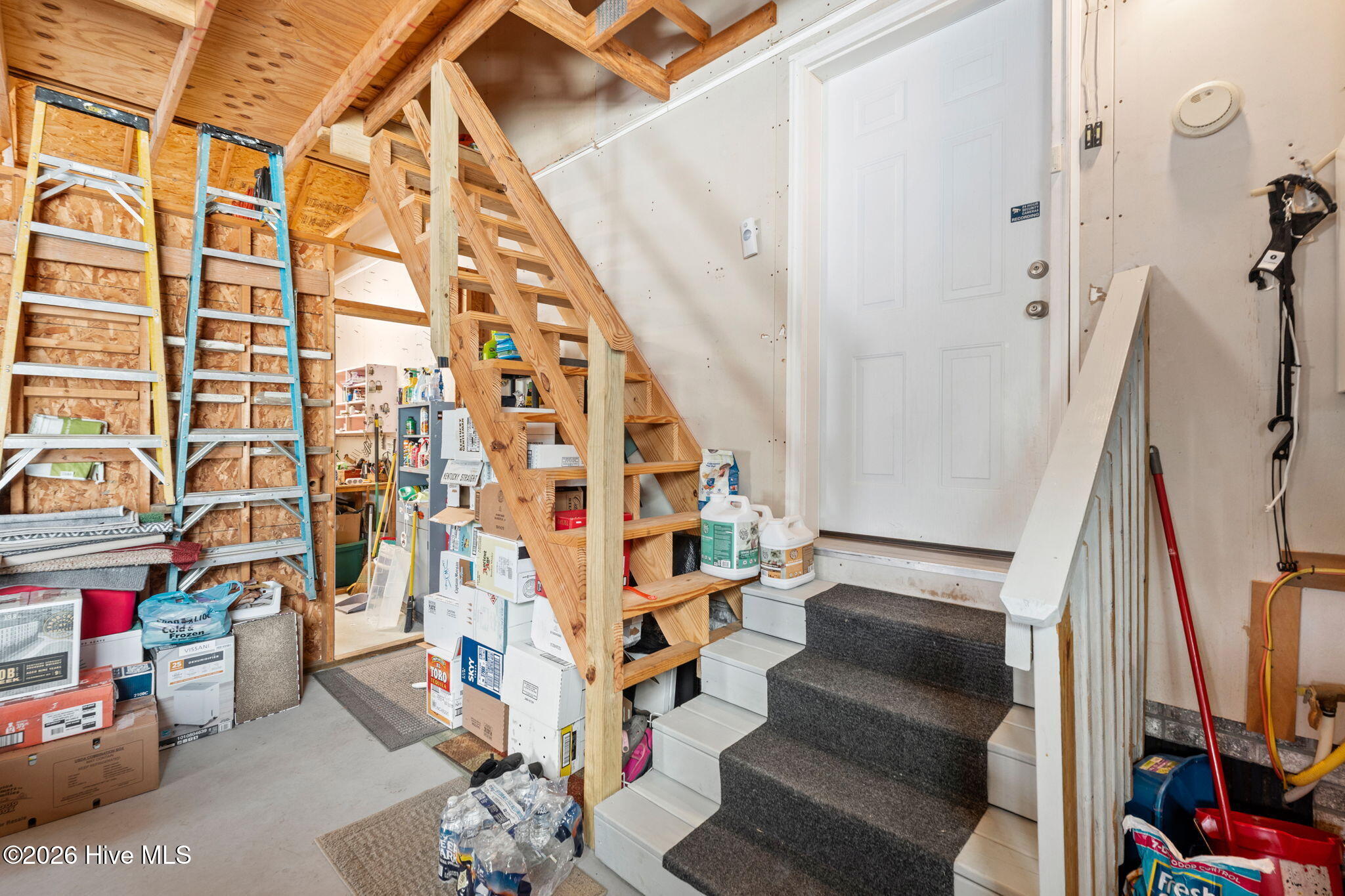 100555983 | Photo 38