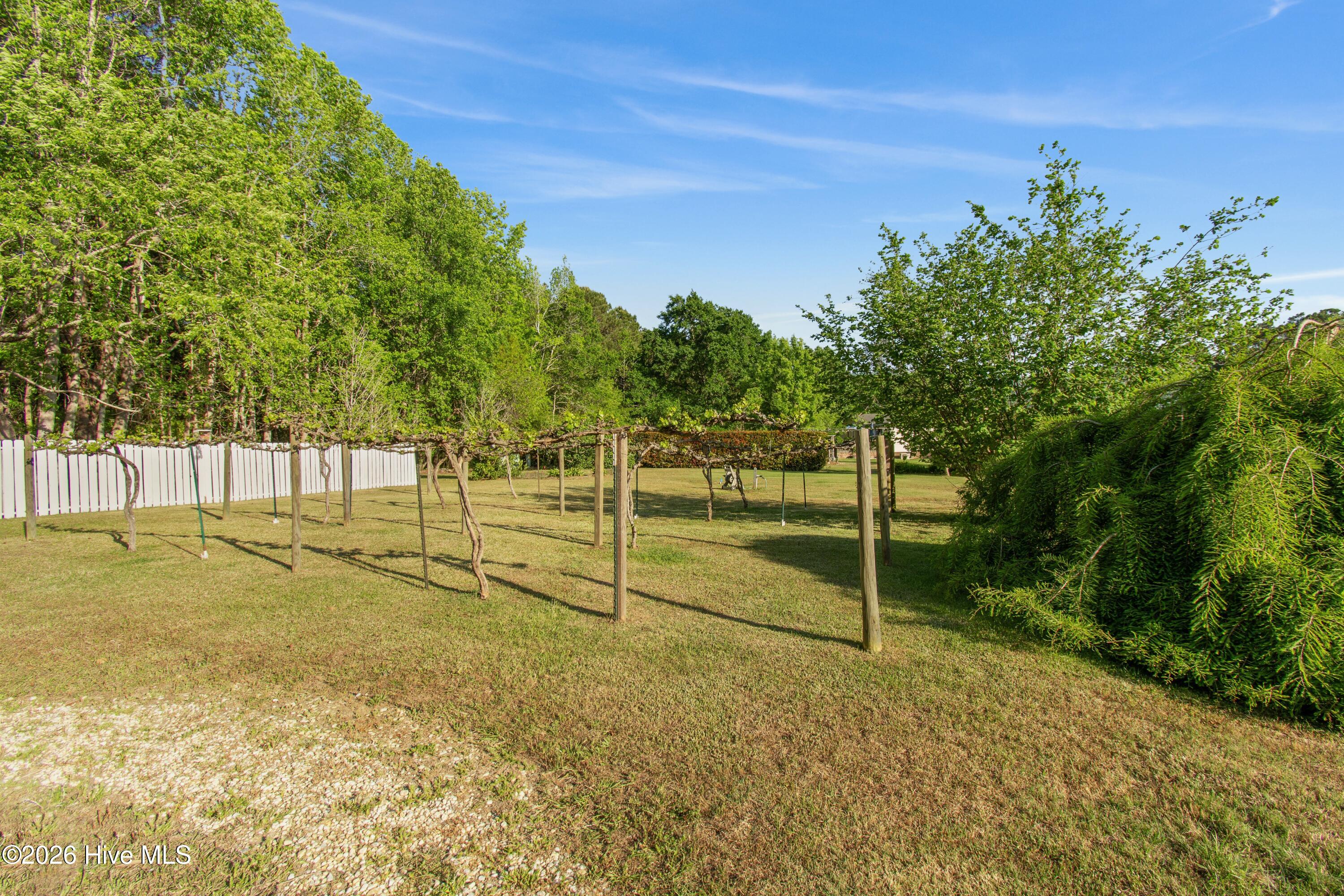 100568231 | Photo 13