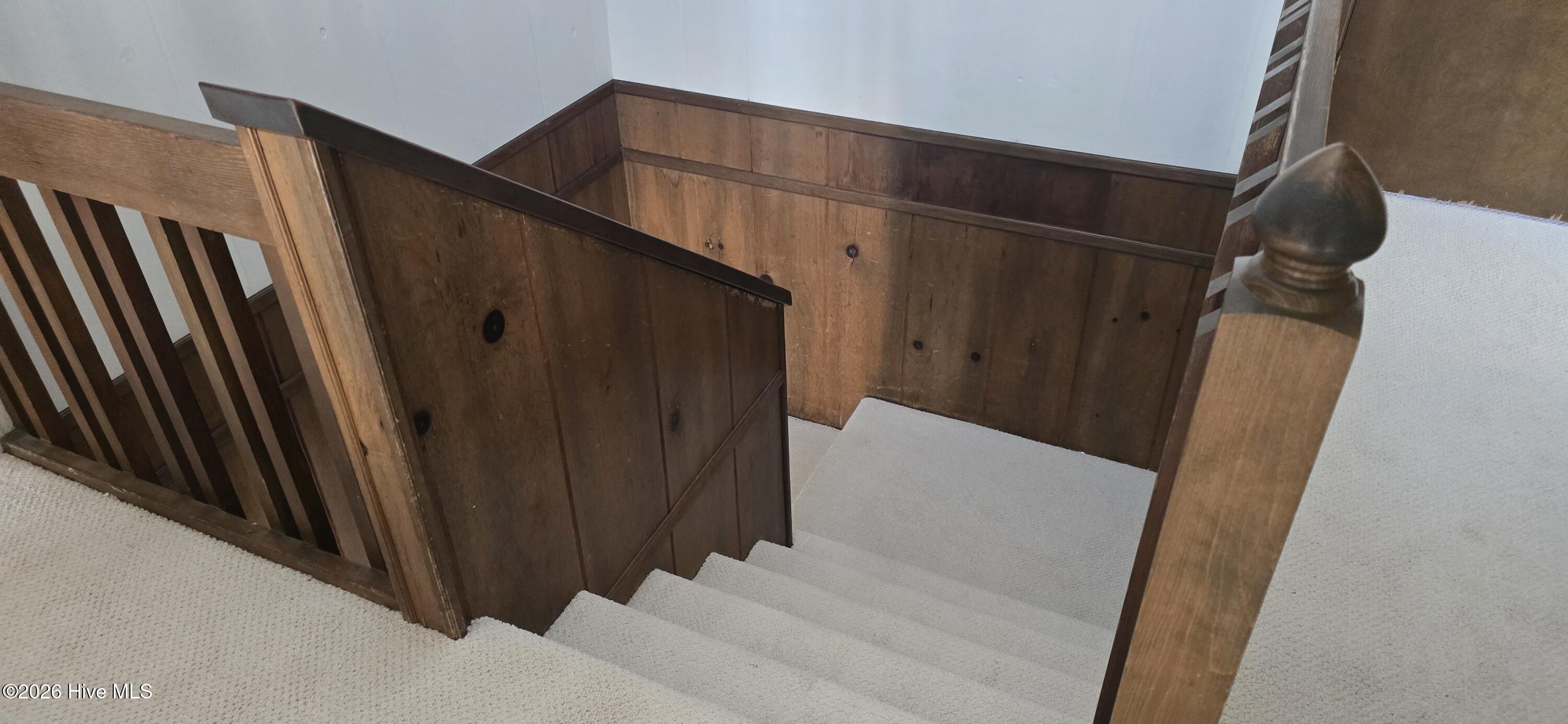 100559141 | Photo 28