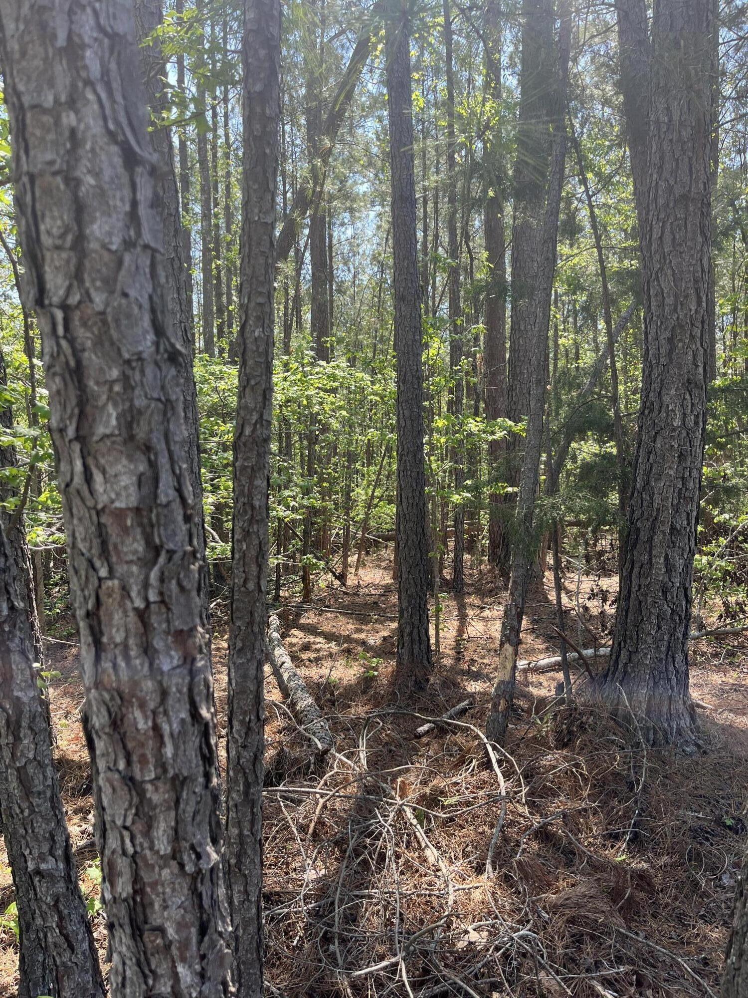 L14 B39 Antioch Drive, Mccormick, SC, 29835