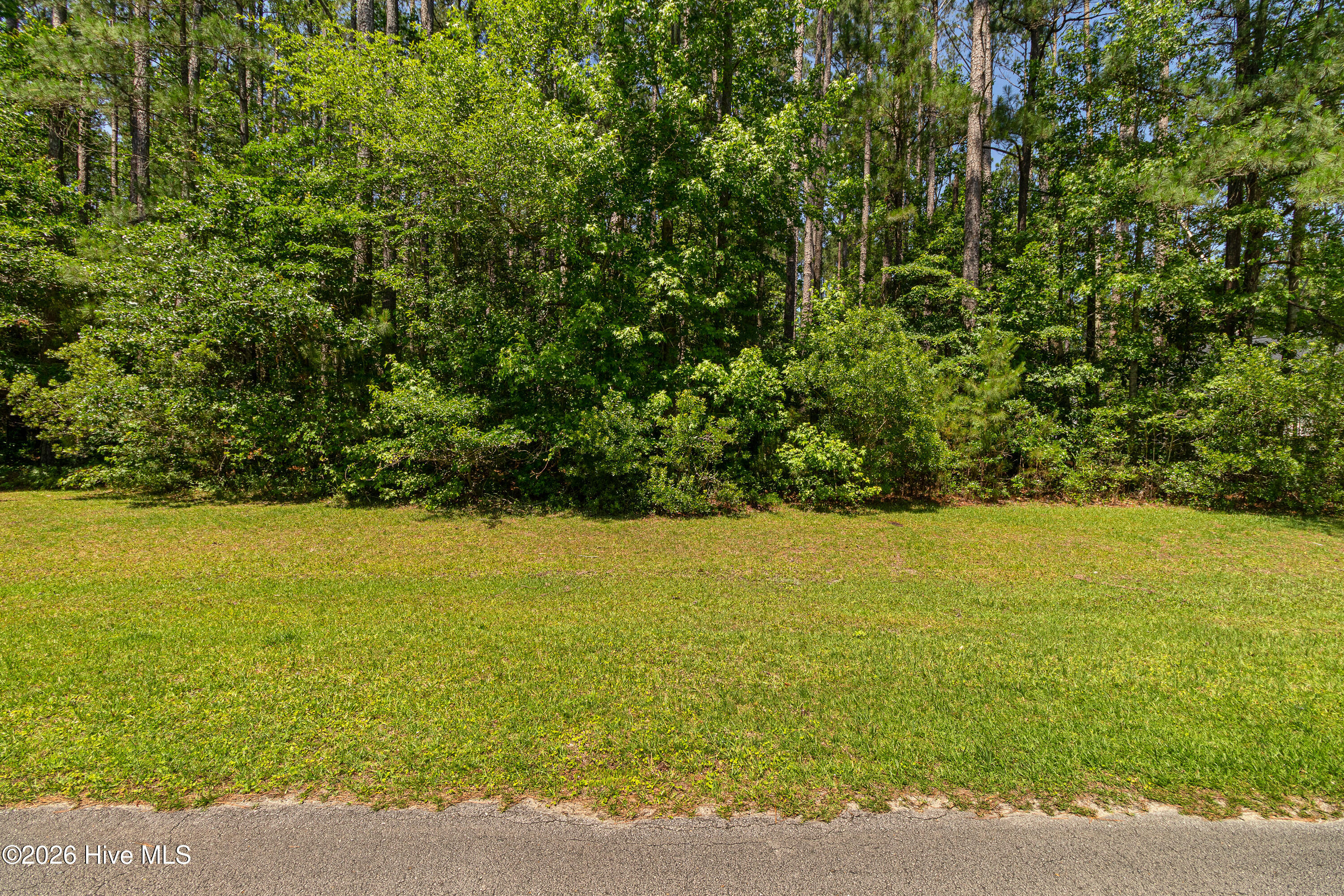 311 Antebellum Drive,Havelock
