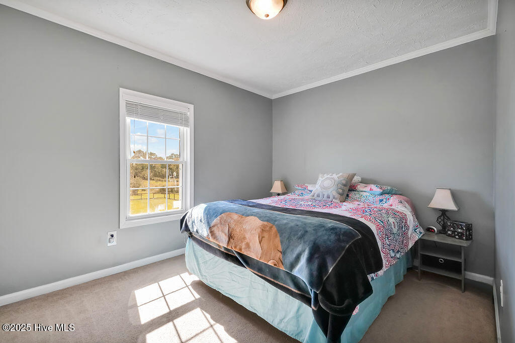 100537845 | Photo 43