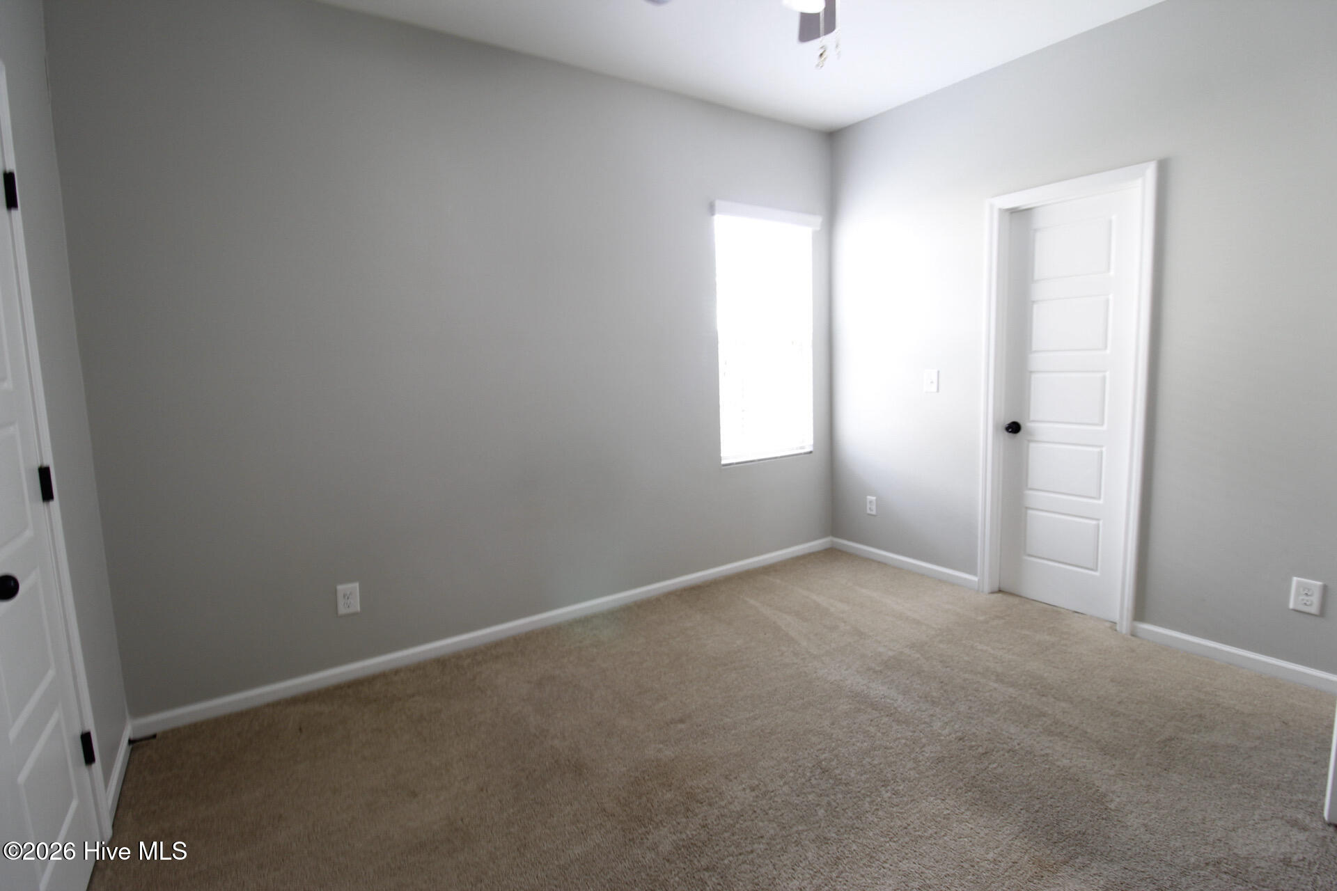 100558904 | Photo 13