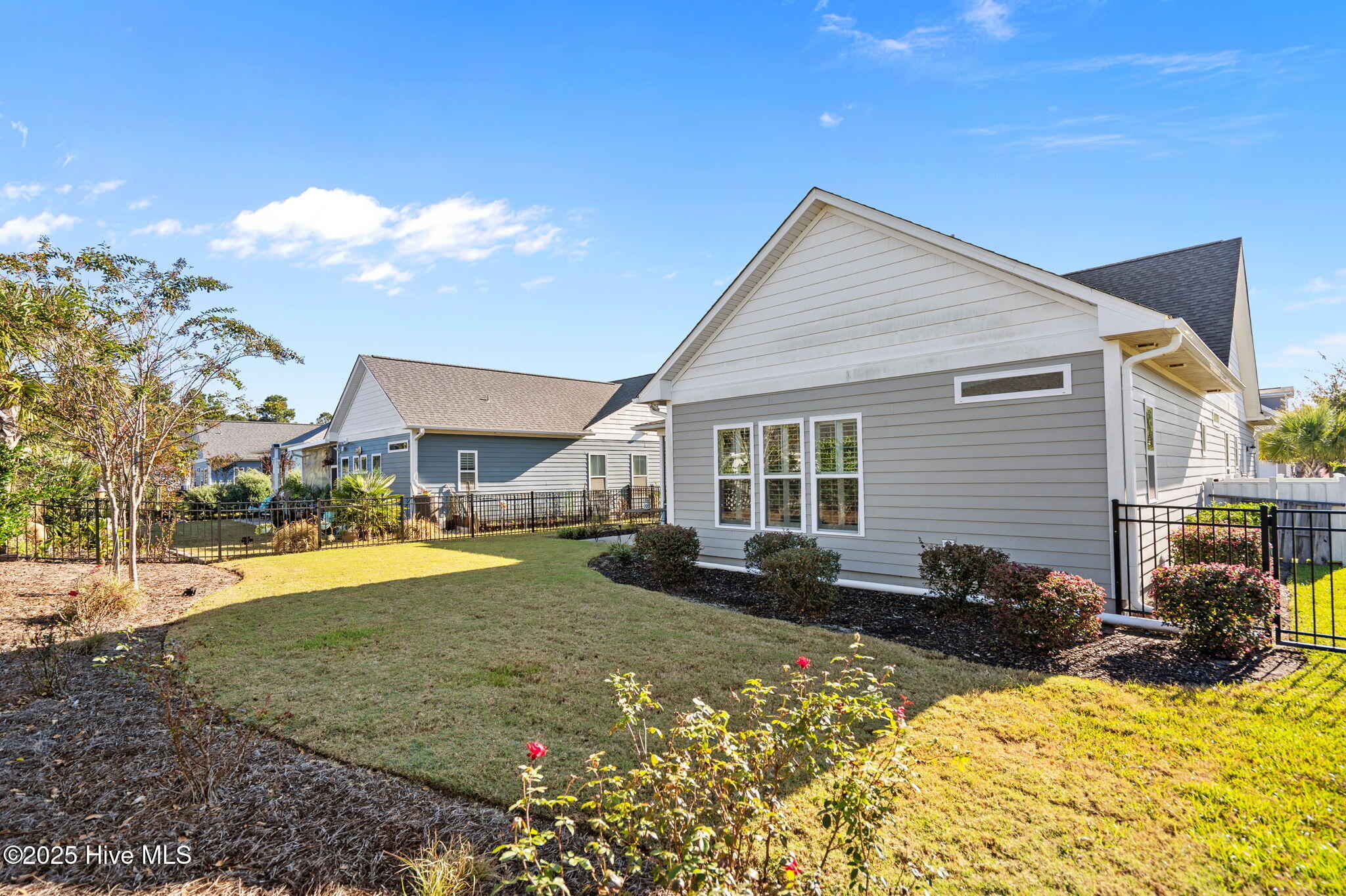 100537659 | Photo 49