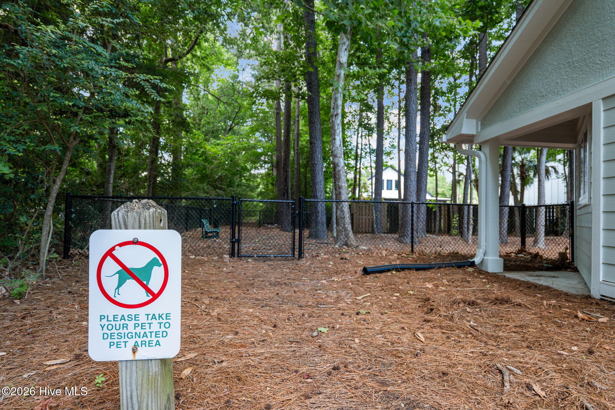 100558805 | Photo 38