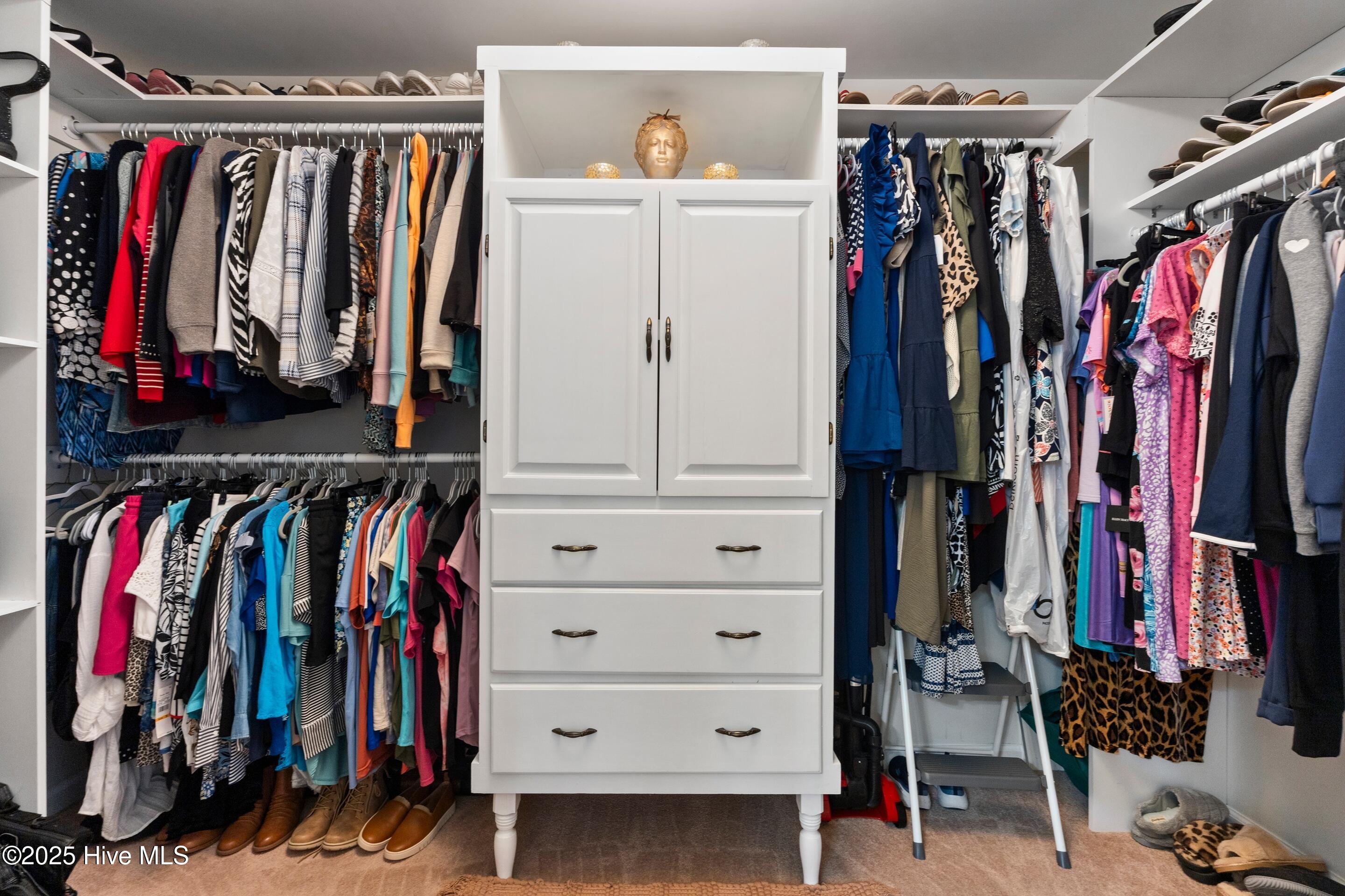 100517079 | Photo 47