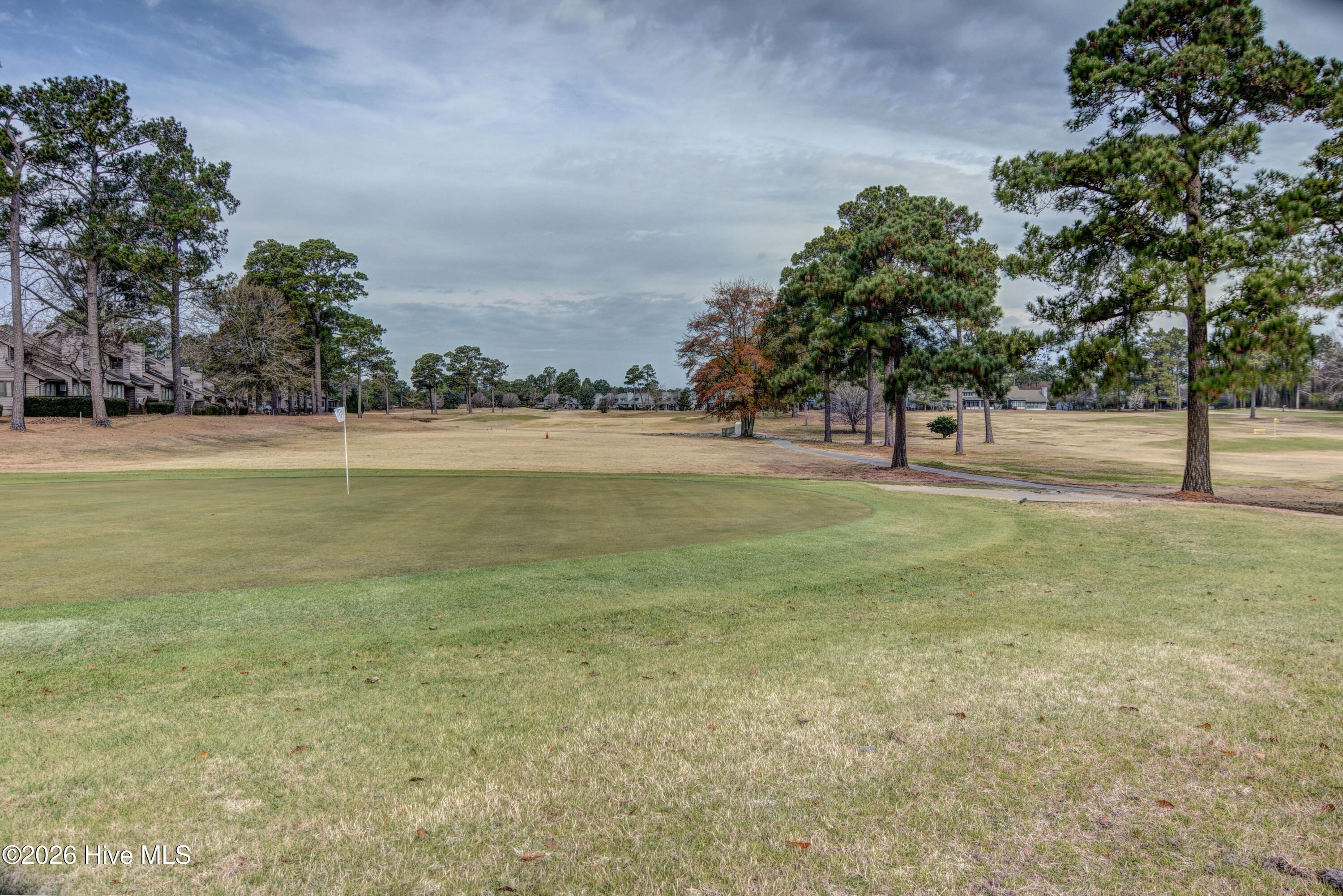 100555539 | Photo 71