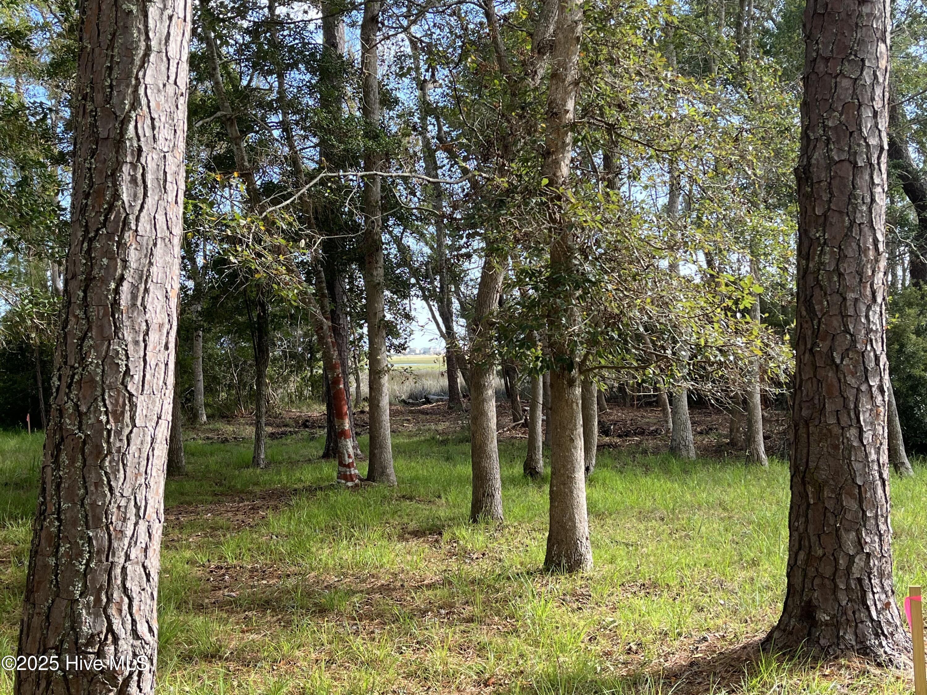 100533806 | Photo 11