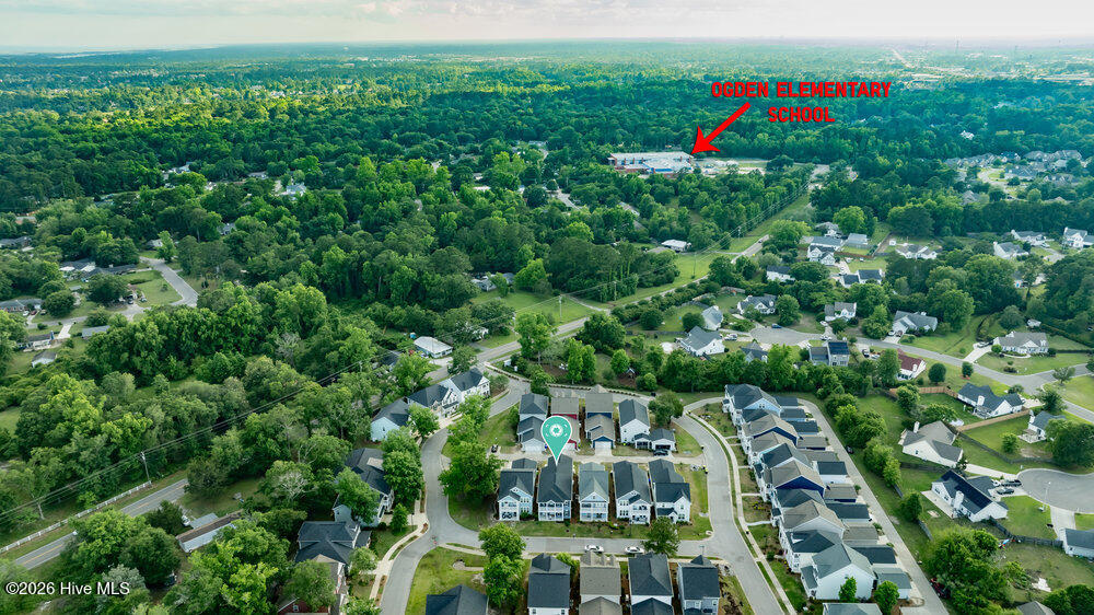 100558129 | Photo 63