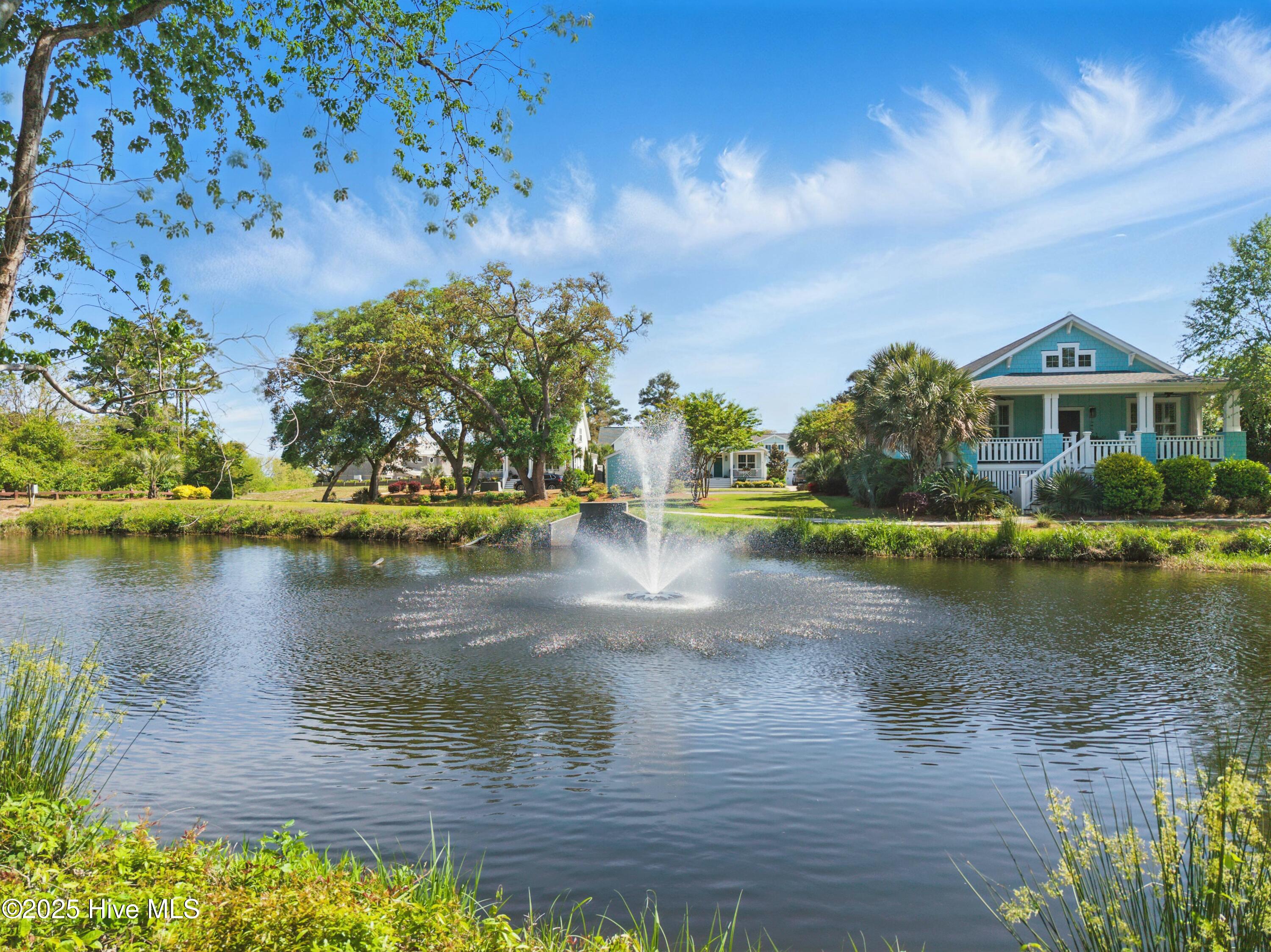 100560955 | Photo 38