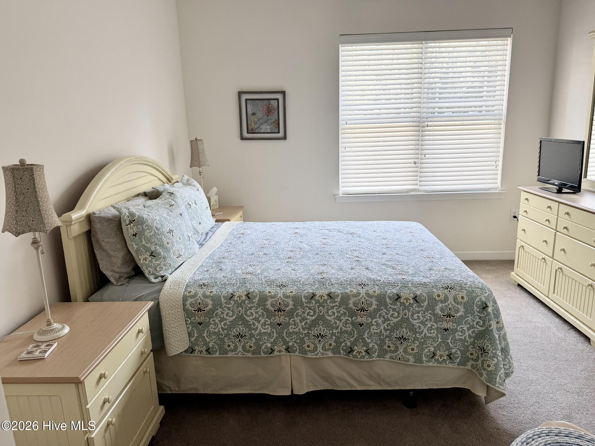 100558778 | Photo 22