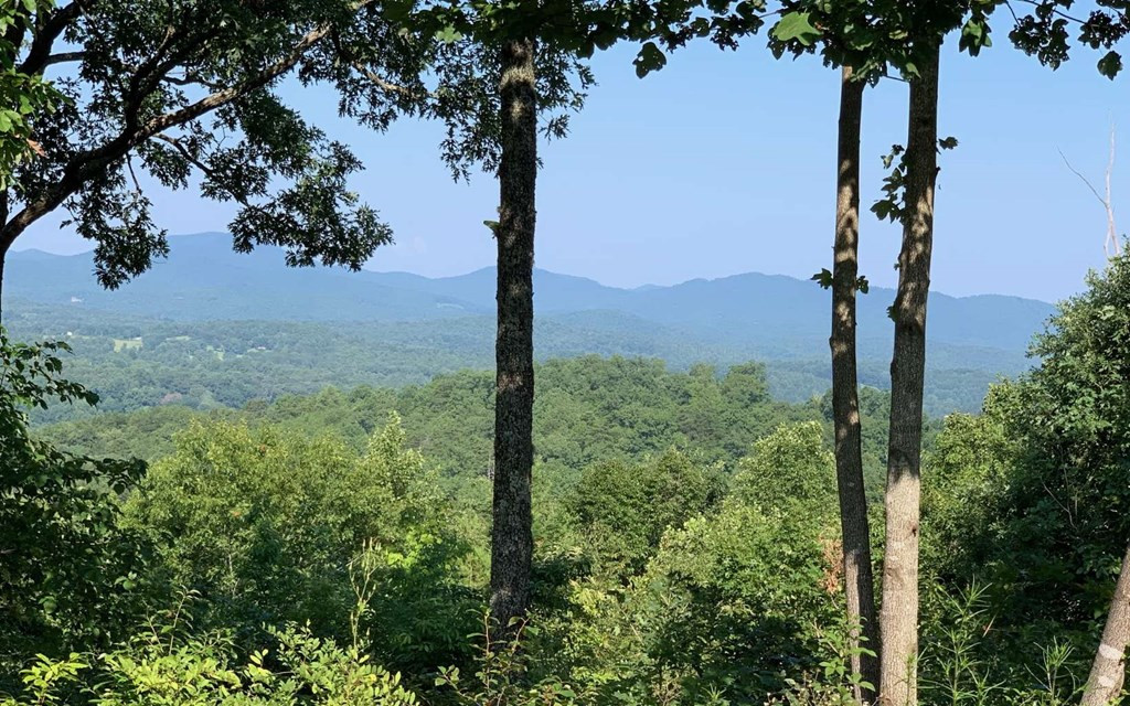Exterior photo of Lot 7 Golden Oaks, Warne, NC 28909. MLS: 98524547