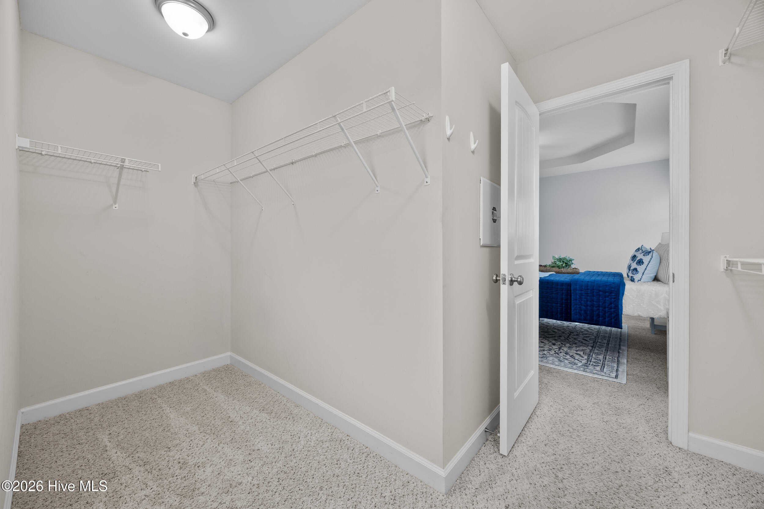 100557313 | Photo 38