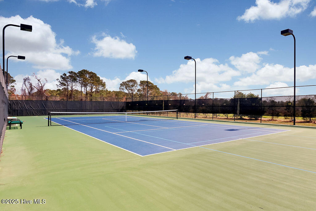 100537515 | Photo 20