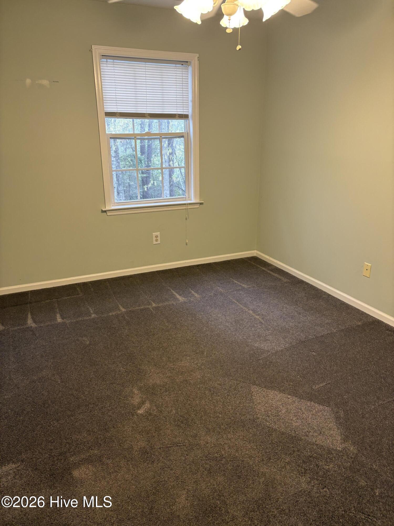 100562372 | Photo 13