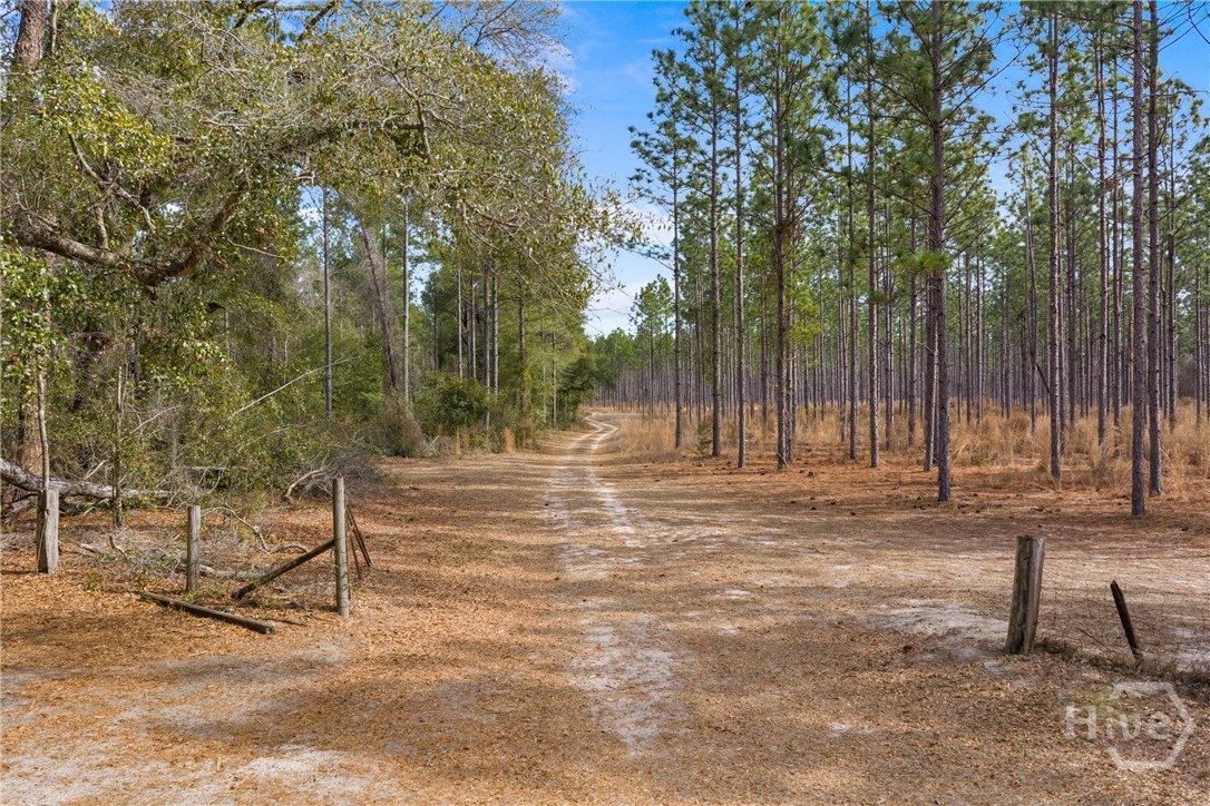 1000 Old River Road S, Brooklet, GA, 30415