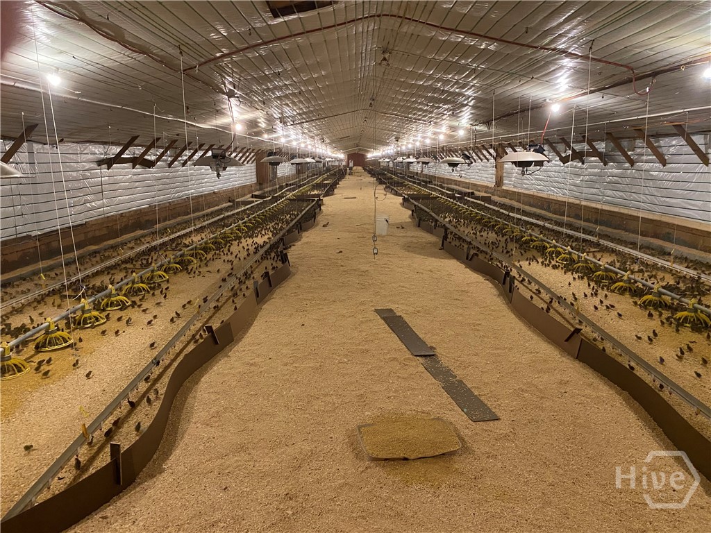 0 Joan Smith Road, Hull, GA, 30646