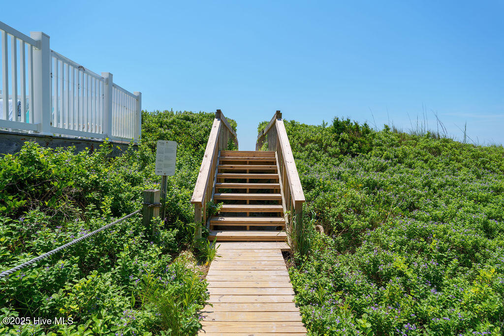 100508404 | Photo 26