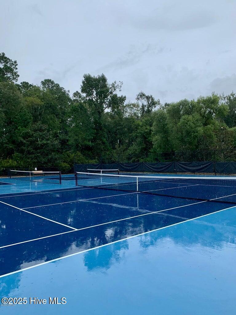 100541538 | Photo 14