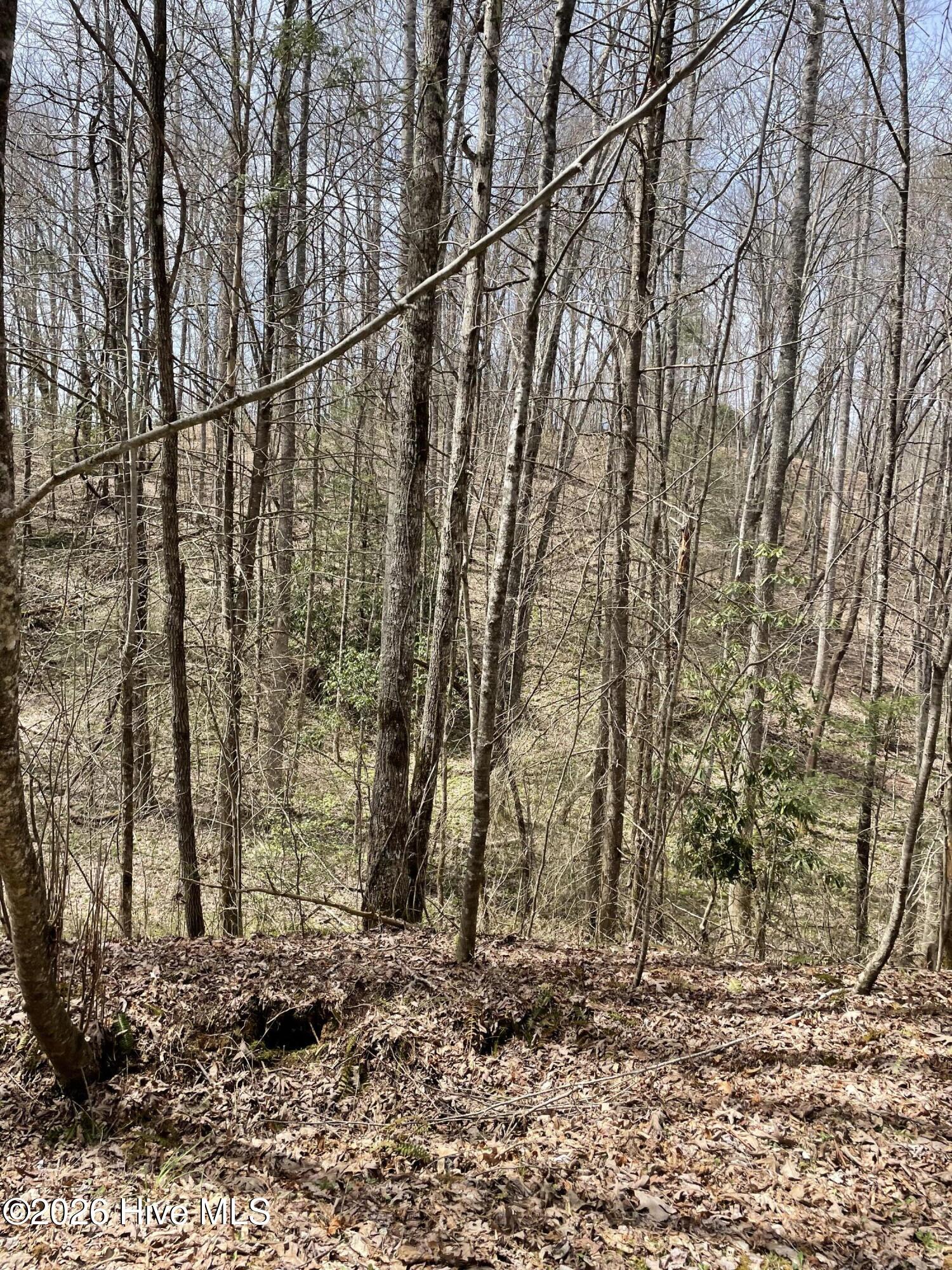 5th image of 11A 11B Hidden Lakes Rd, Topton, NC 28781 | MLS# 100597991