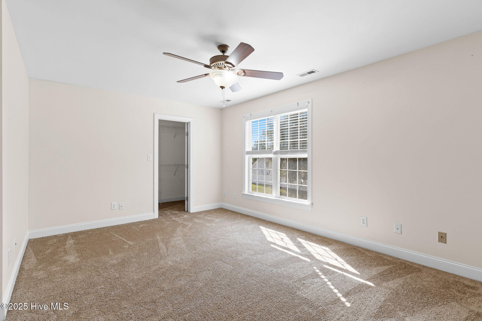 100532081 | Photo 50