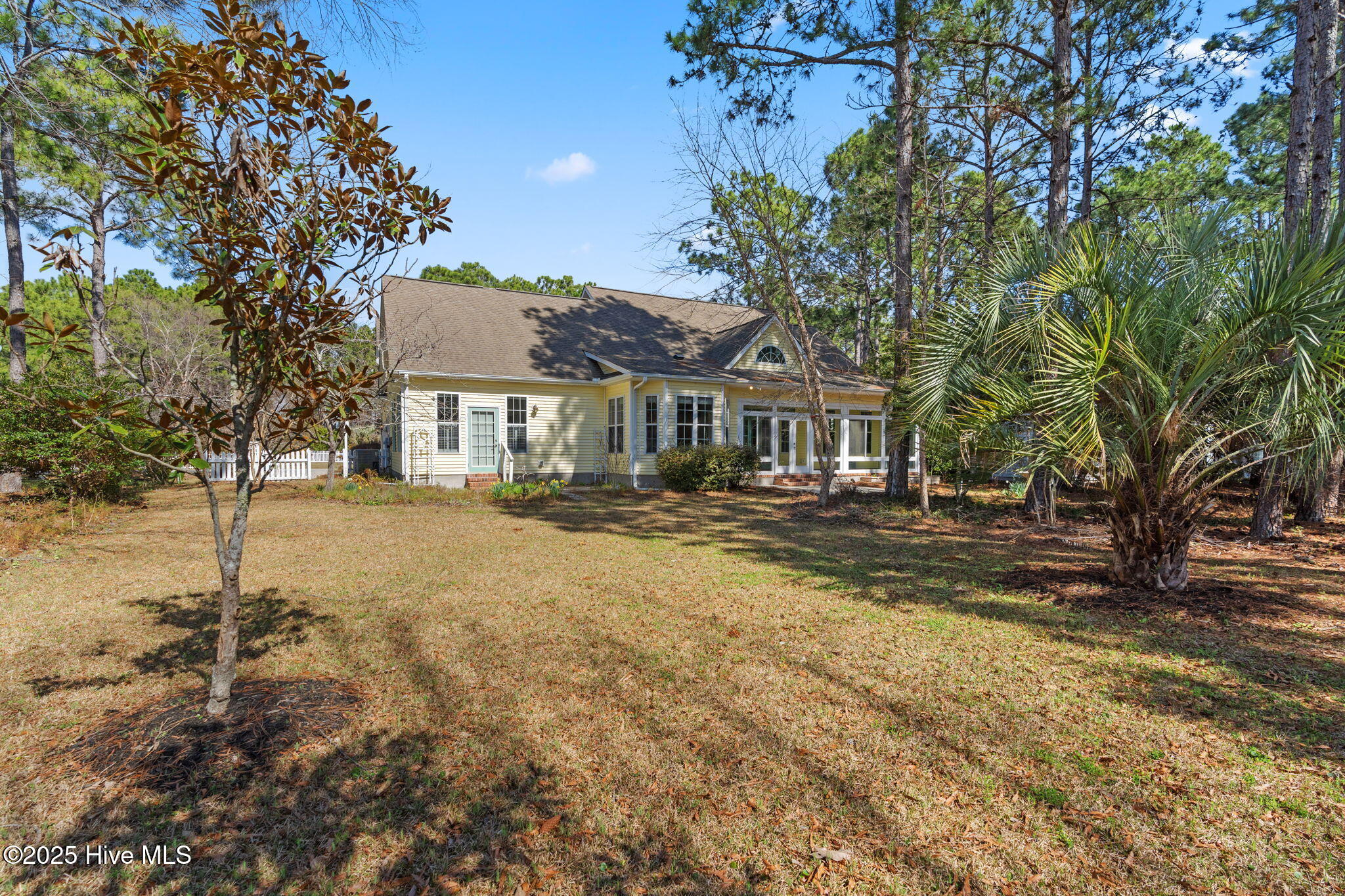 100541606 | Photo 43