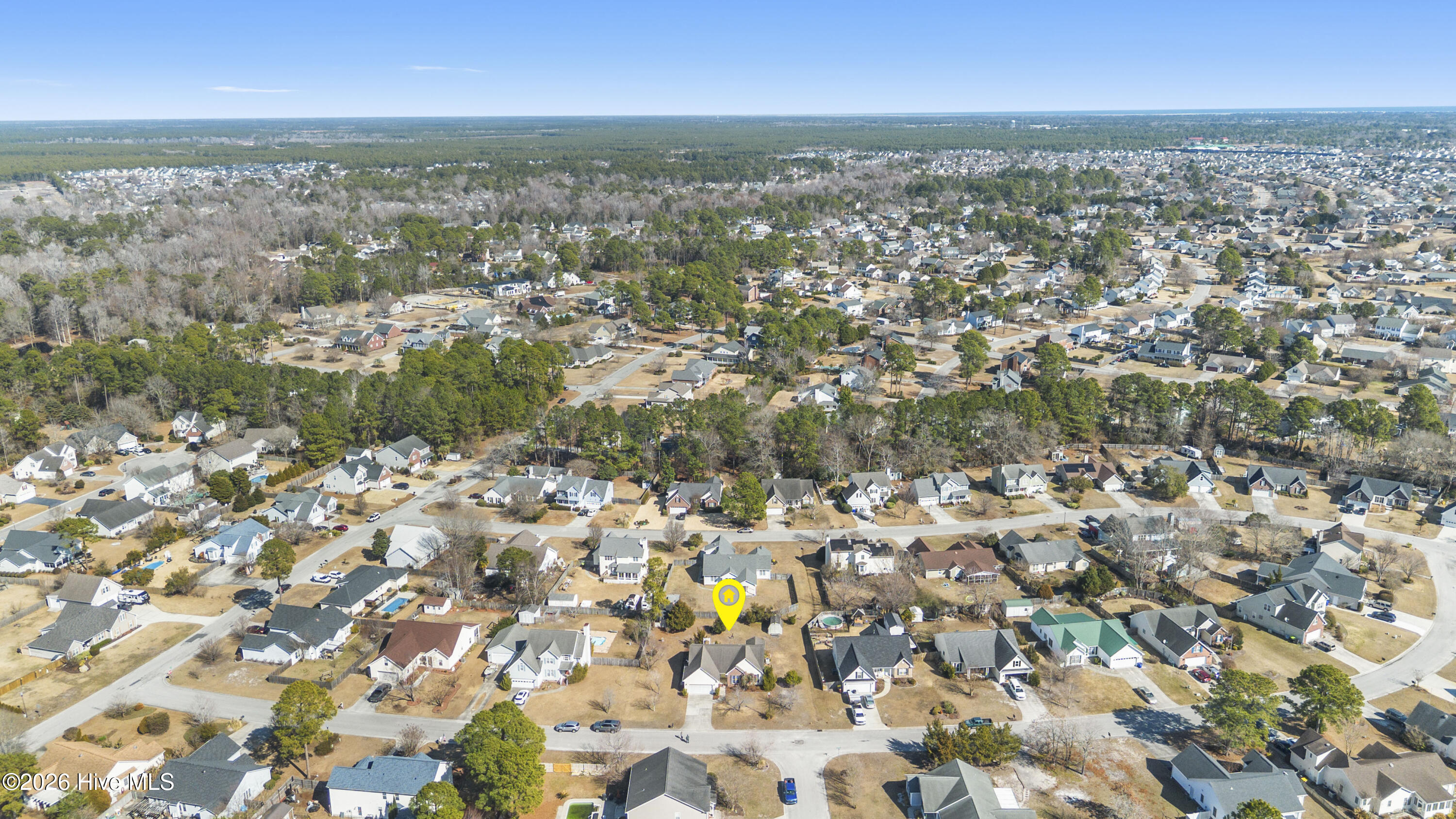 100554853 | Photo 53