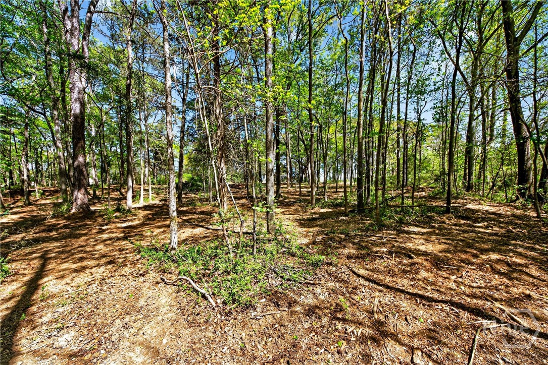 2330 Greensboro Highway, Watkinsville, GA, 30677