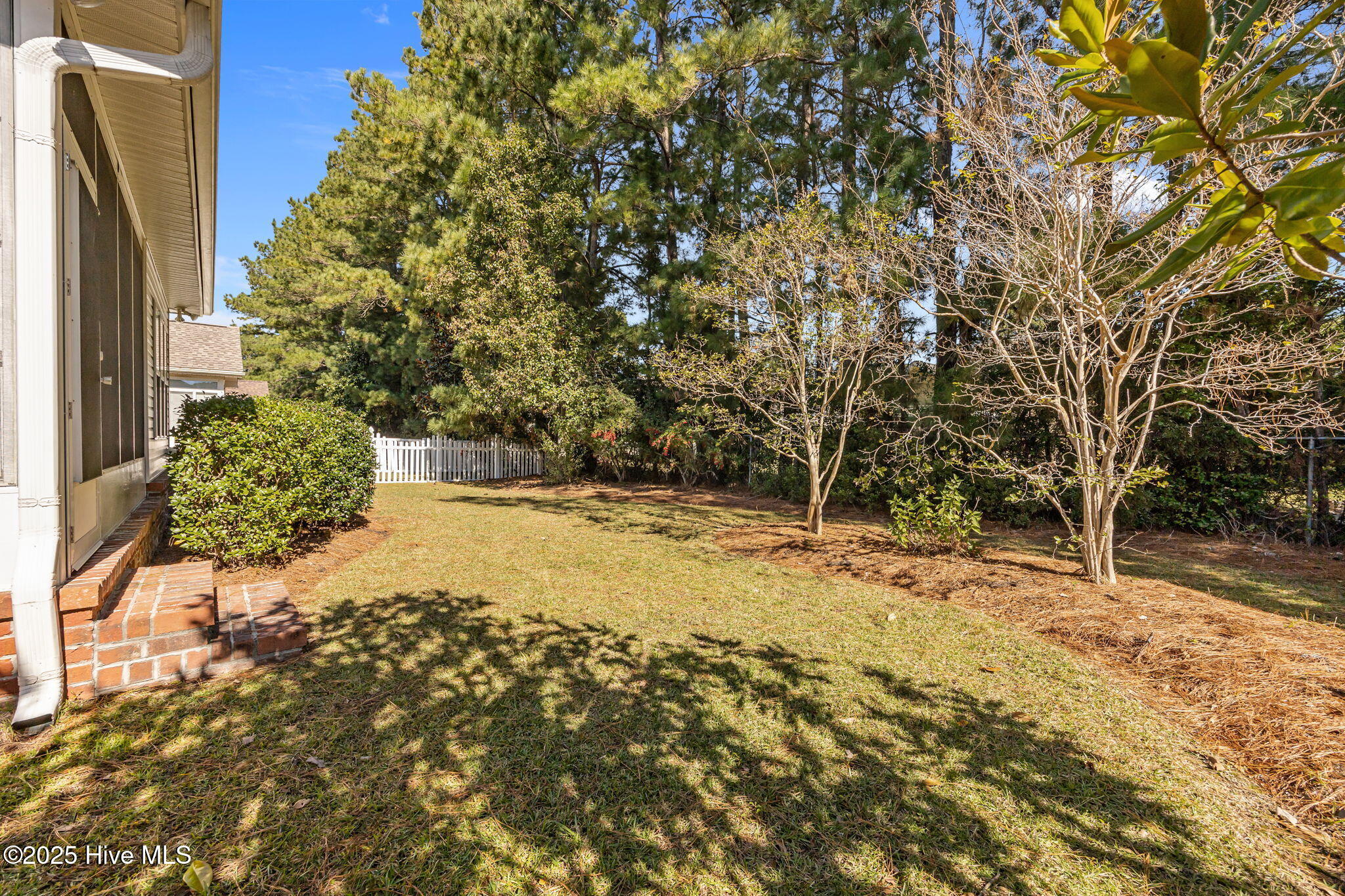 100539449 | Photo 37