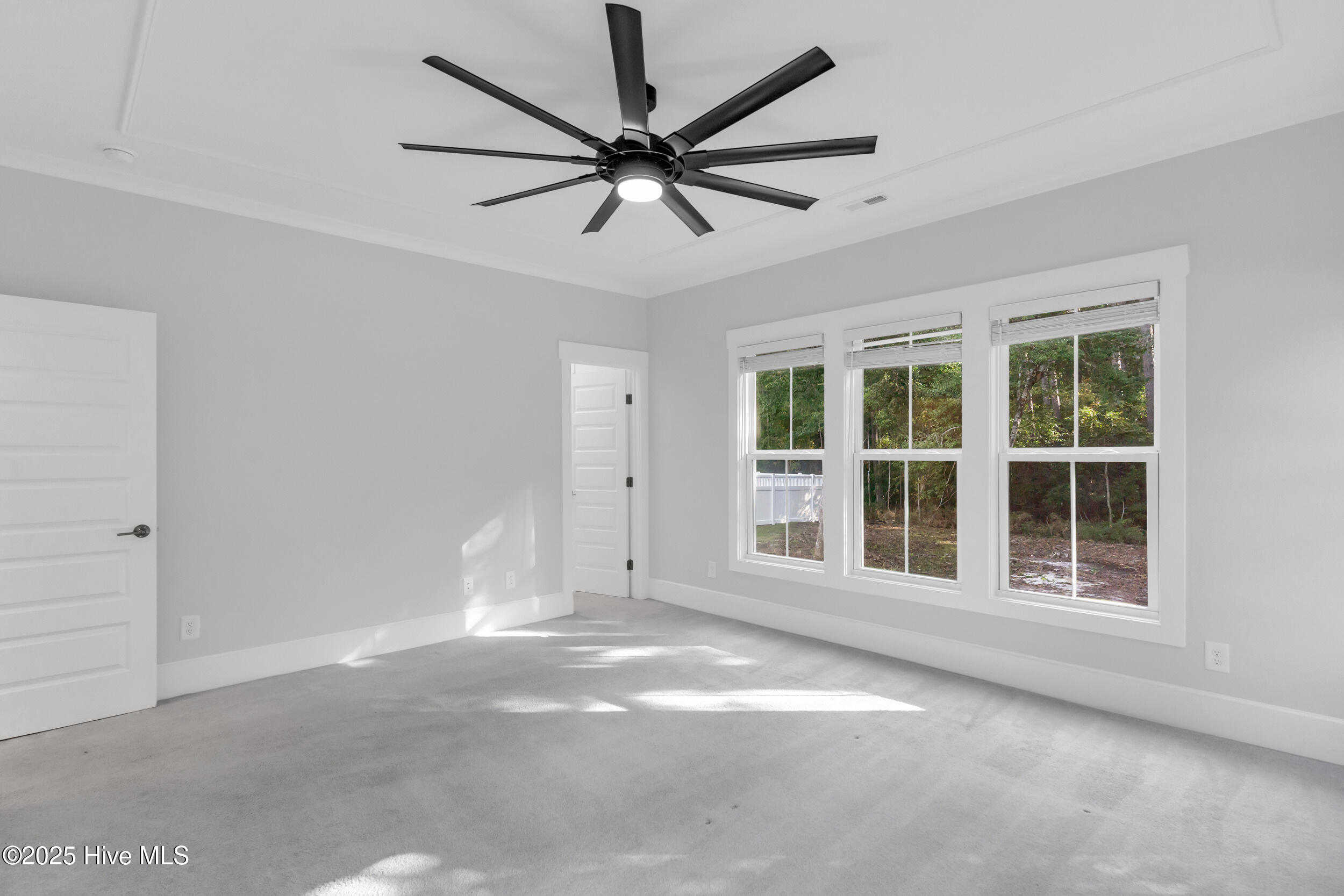 100535117 | Photo 20