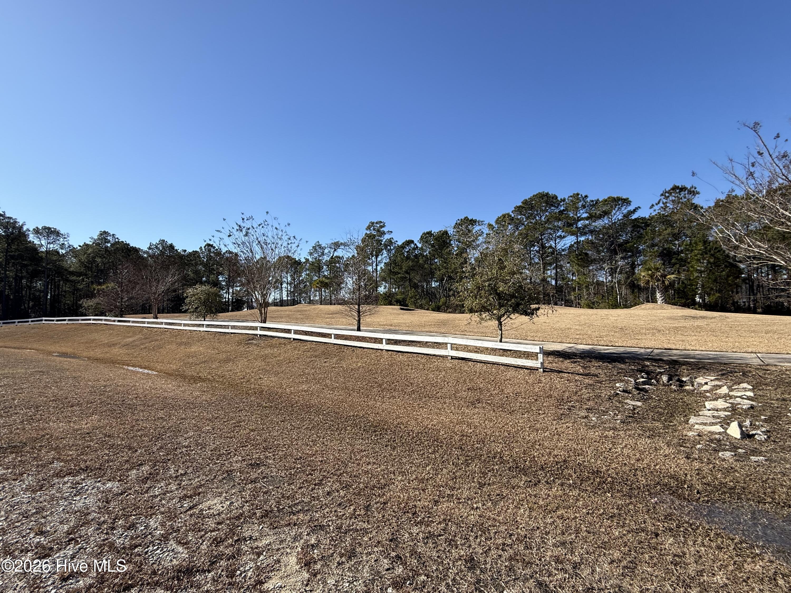 100554064 | Photo 13