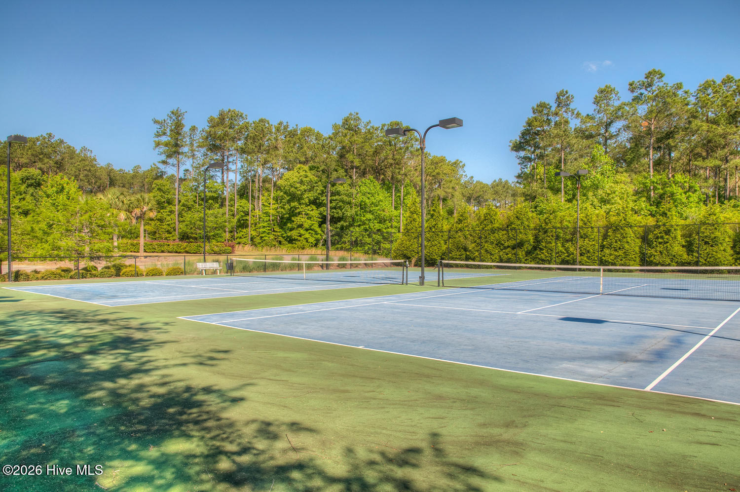 100549378 | Photo 26