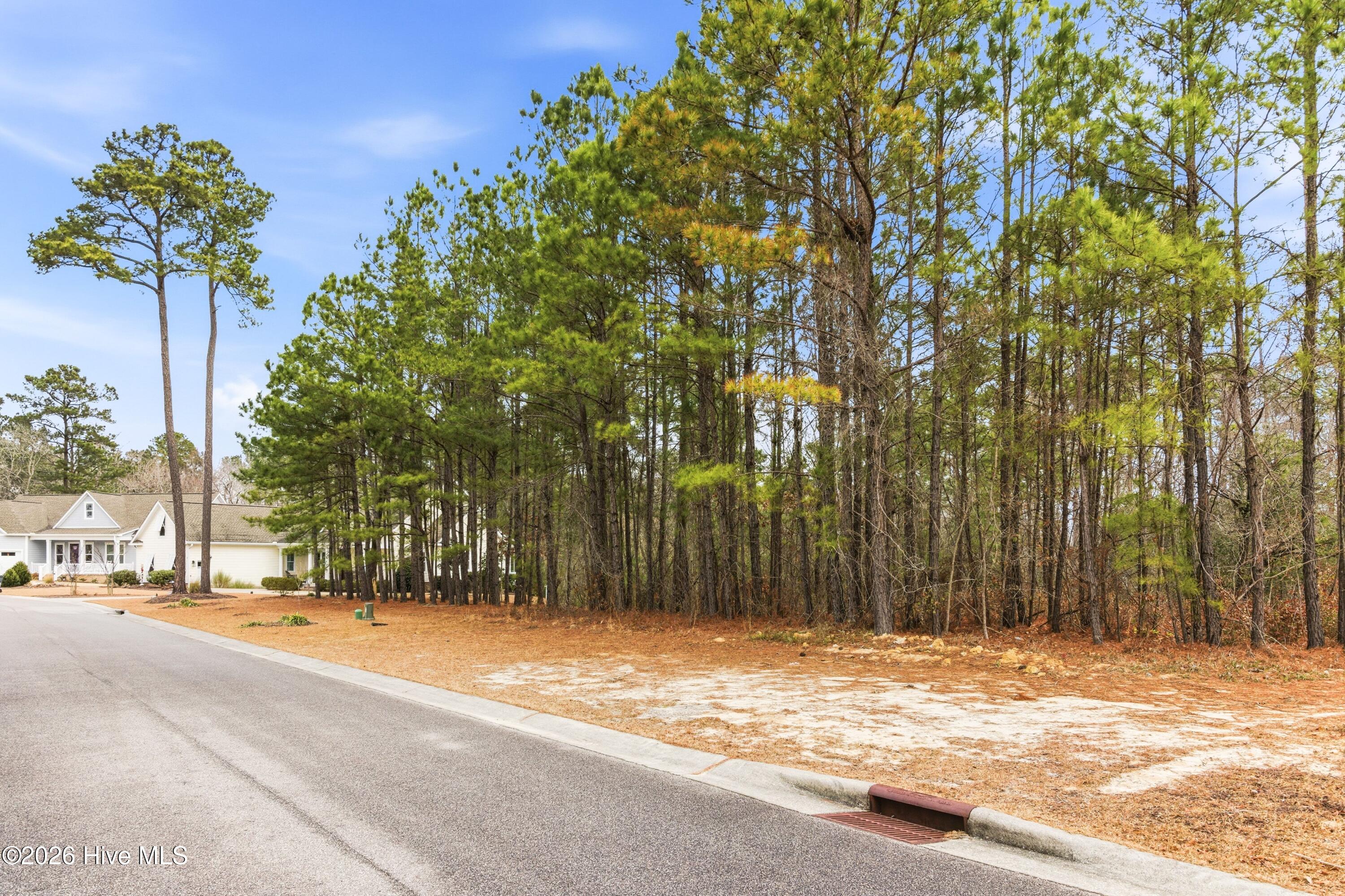 100551490 | Photo 52