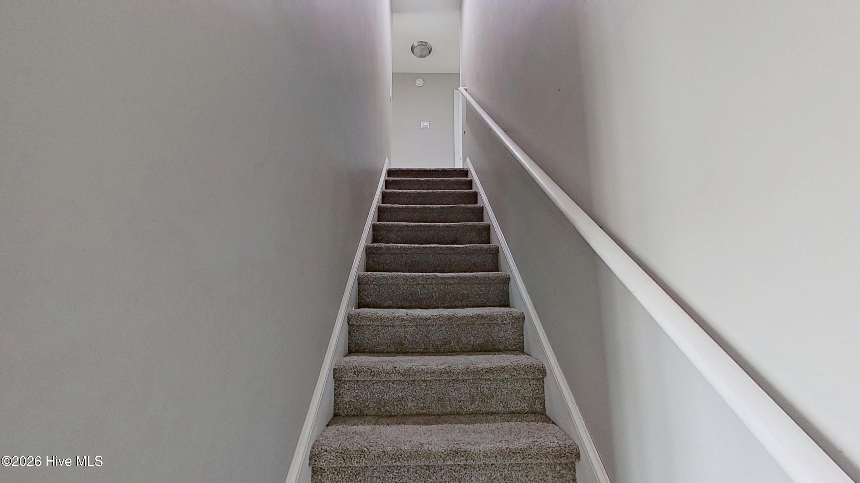 100567894 | Photo 13