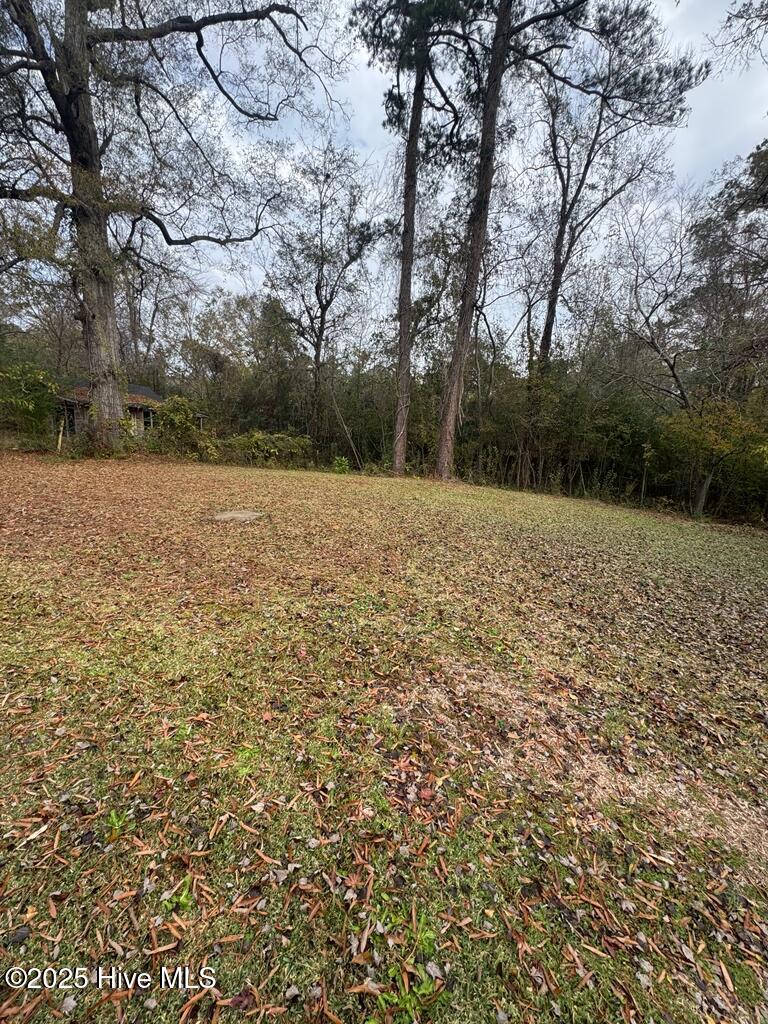 100544195 | Photo 13