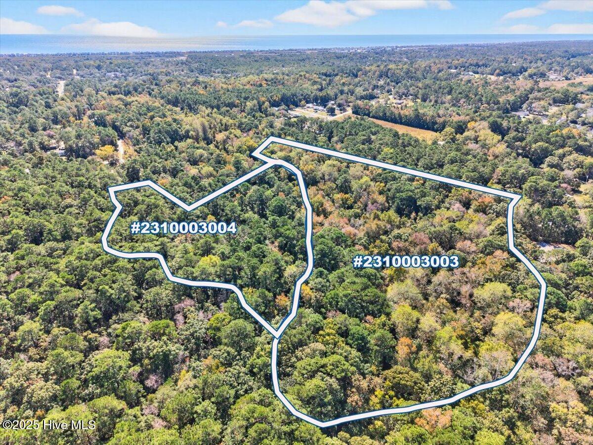 100538805 | Photo 15