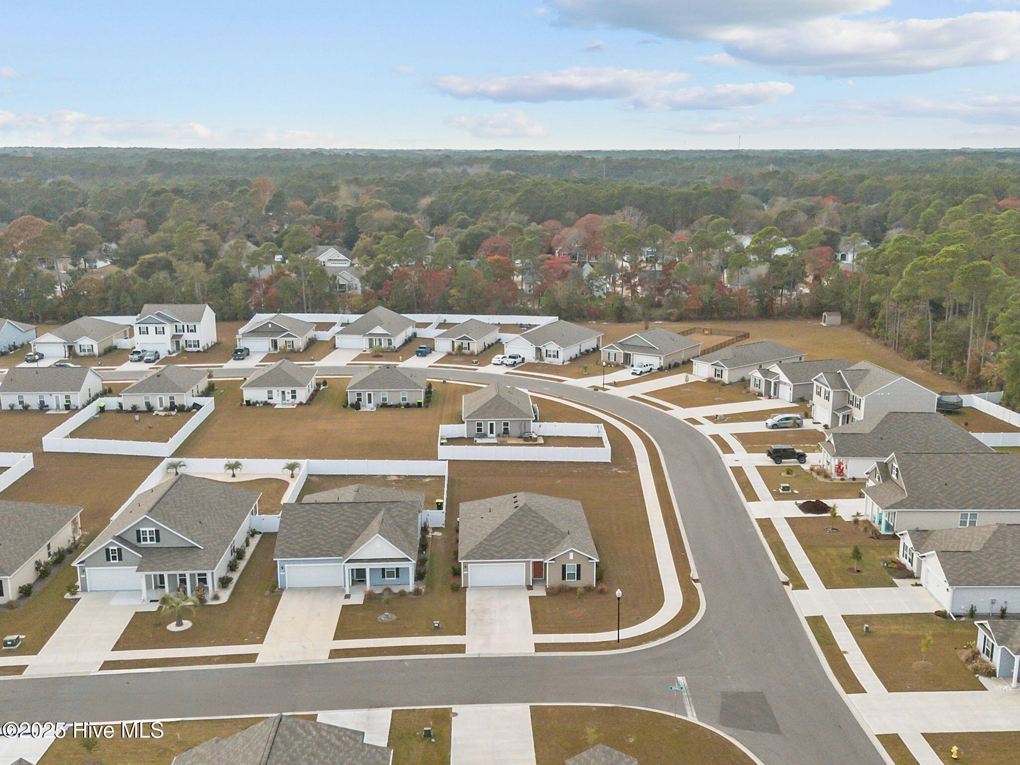 100542693 | Photo 48