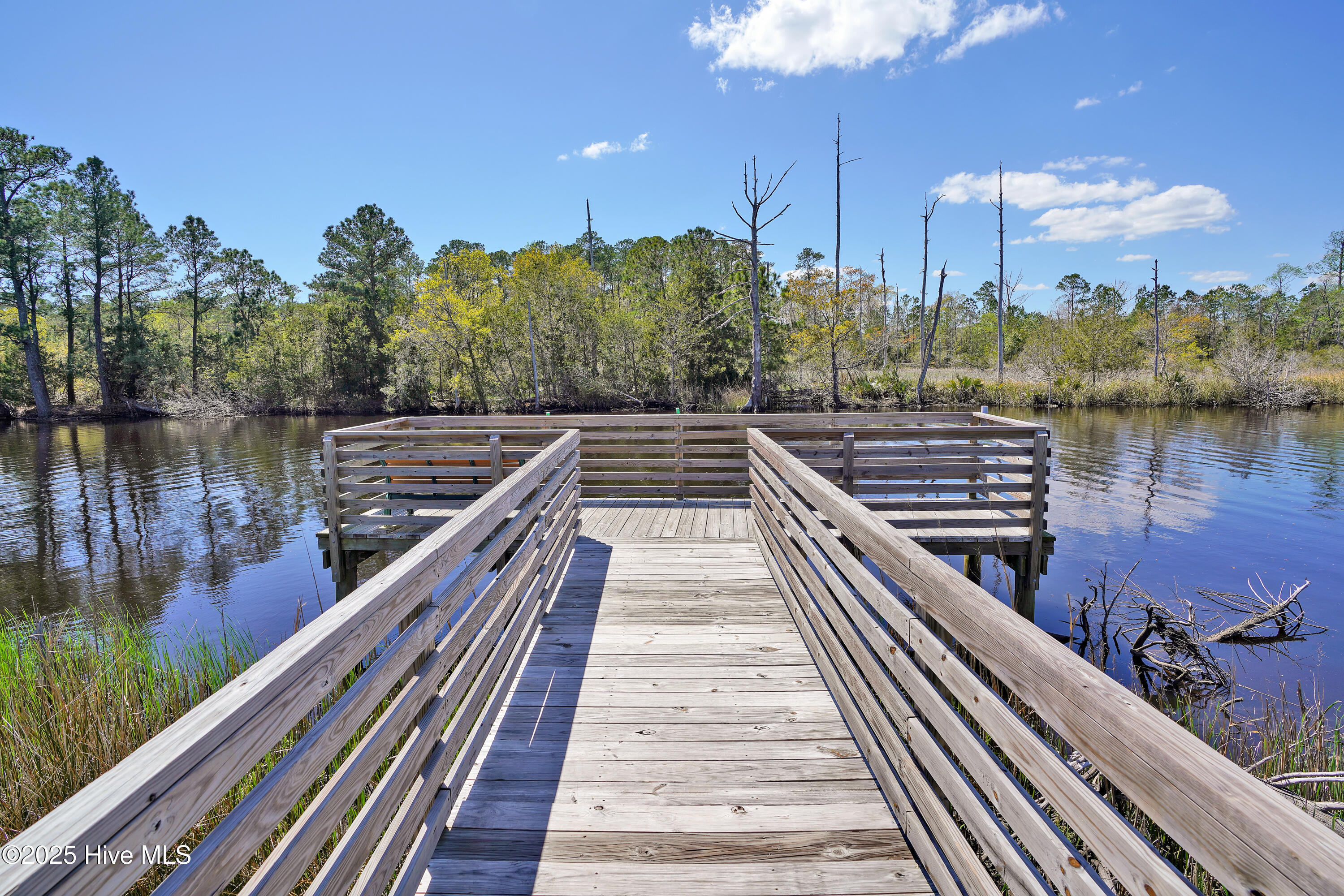 100508113 | Photo 47