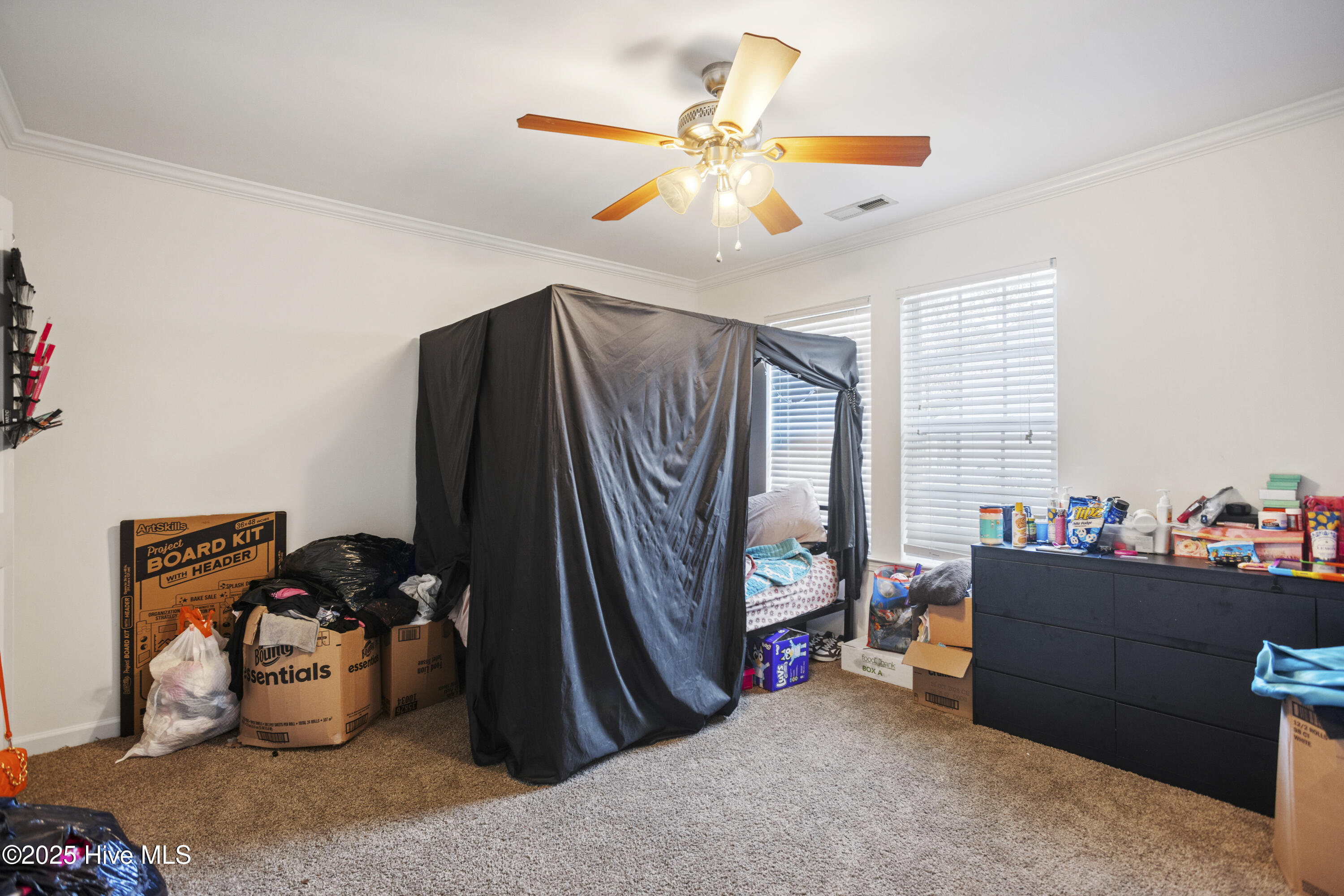 100496889 | Photo 21