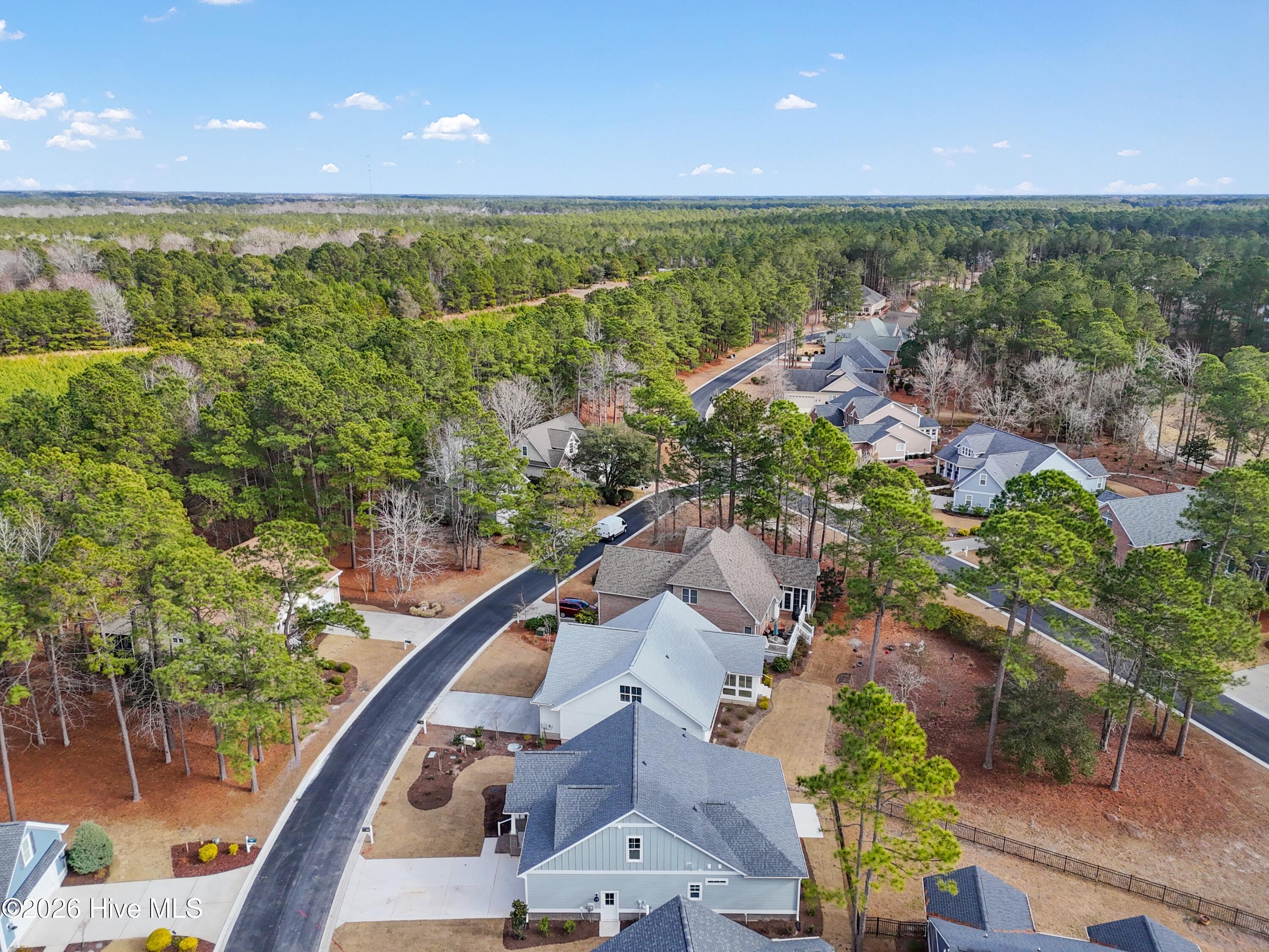 100533287 | Photo 36