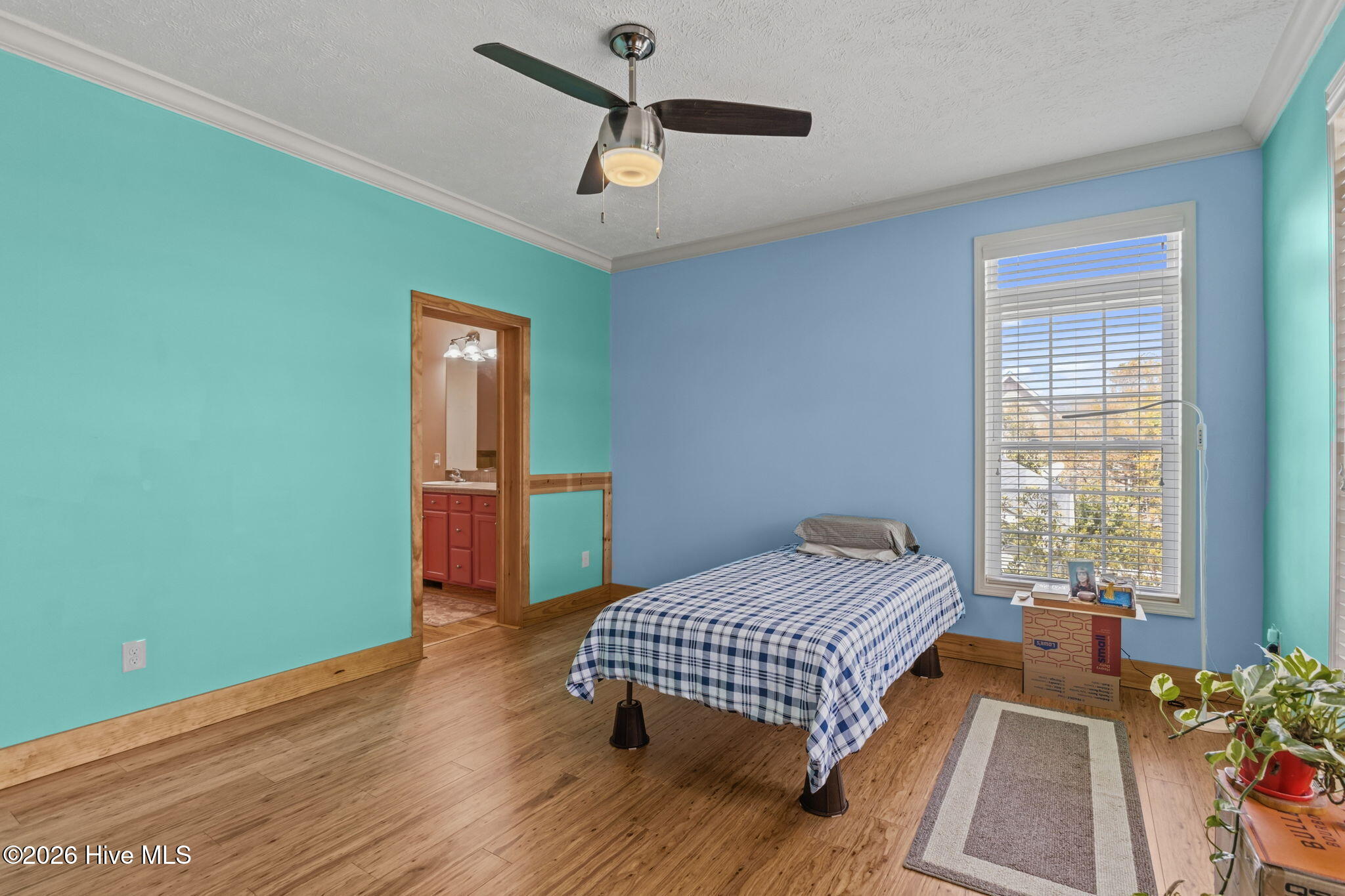 100564896 | Photo 13