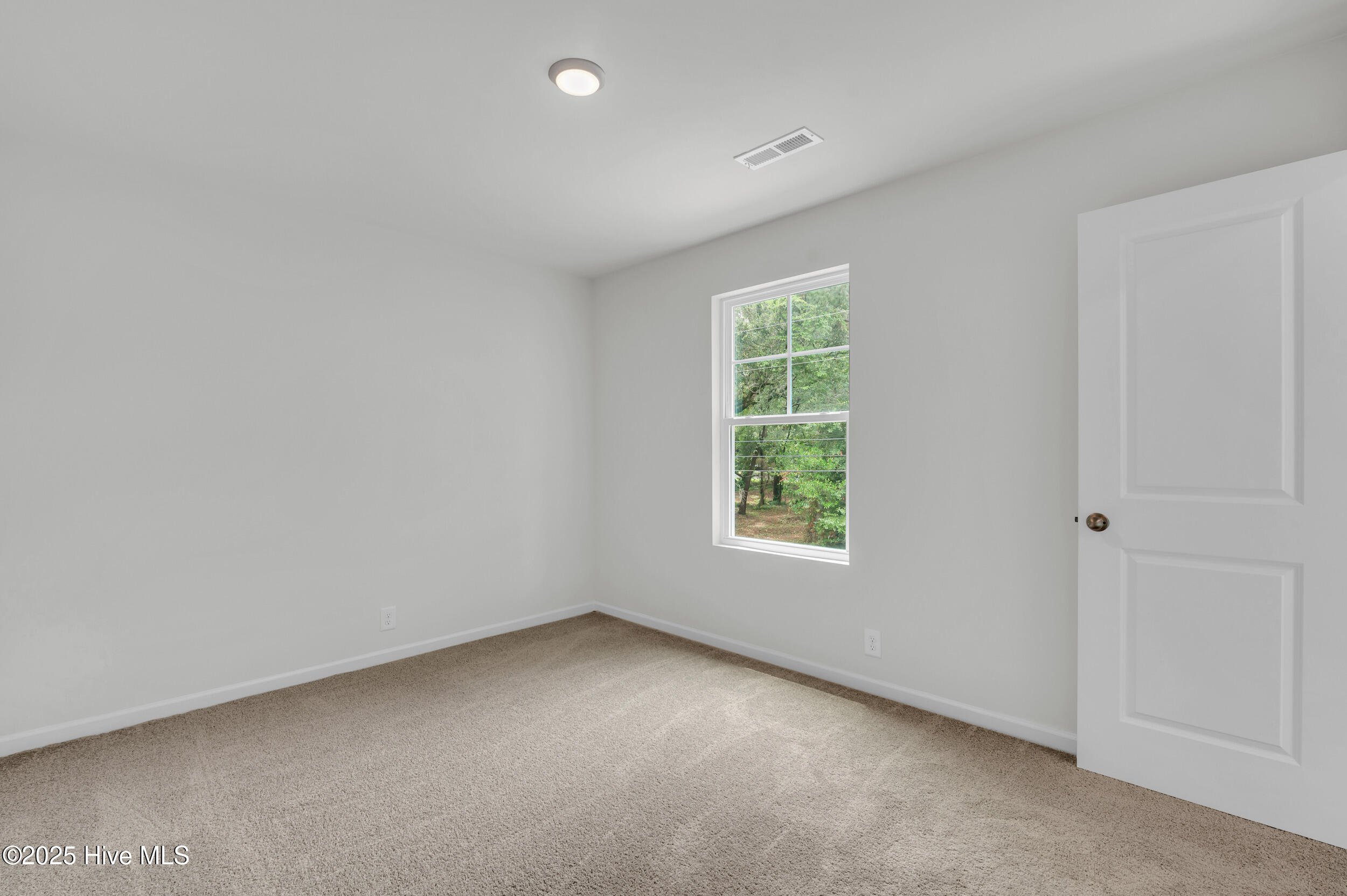 100522862 | Photo 16