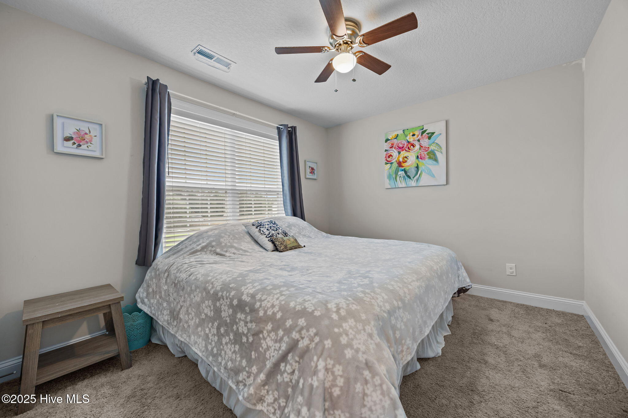 123 Village Creek Drive,Maysville