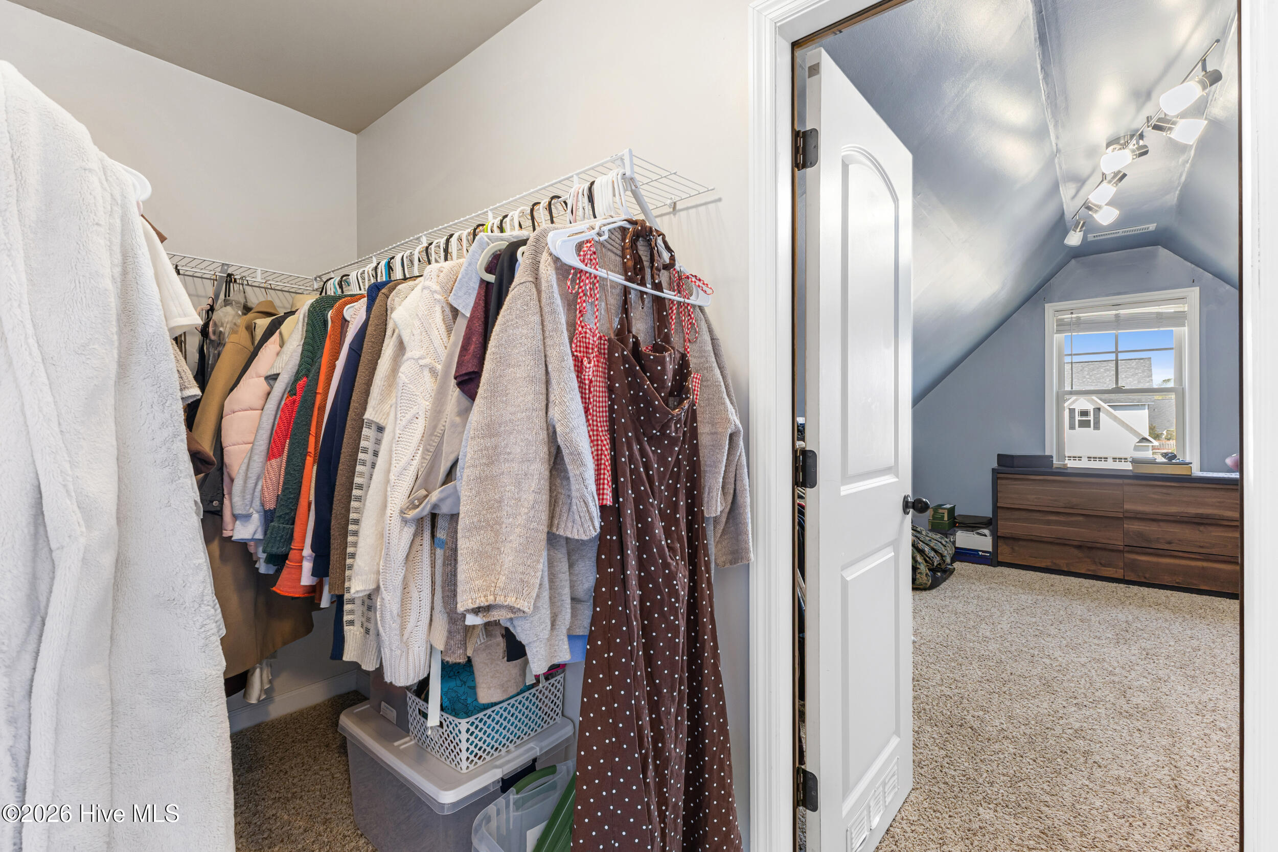 100563533 | Photo 24