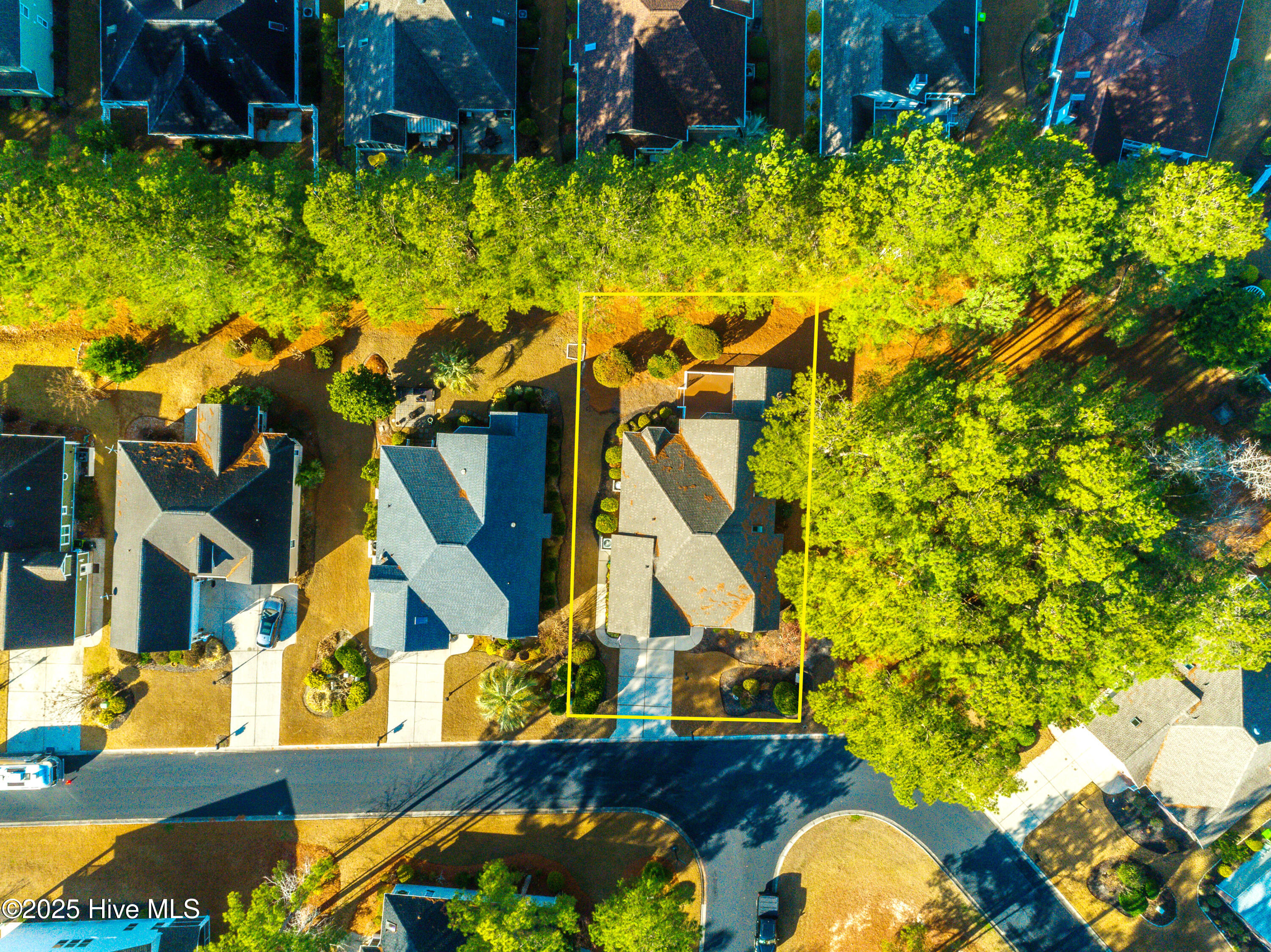 100547083 | Photo 35