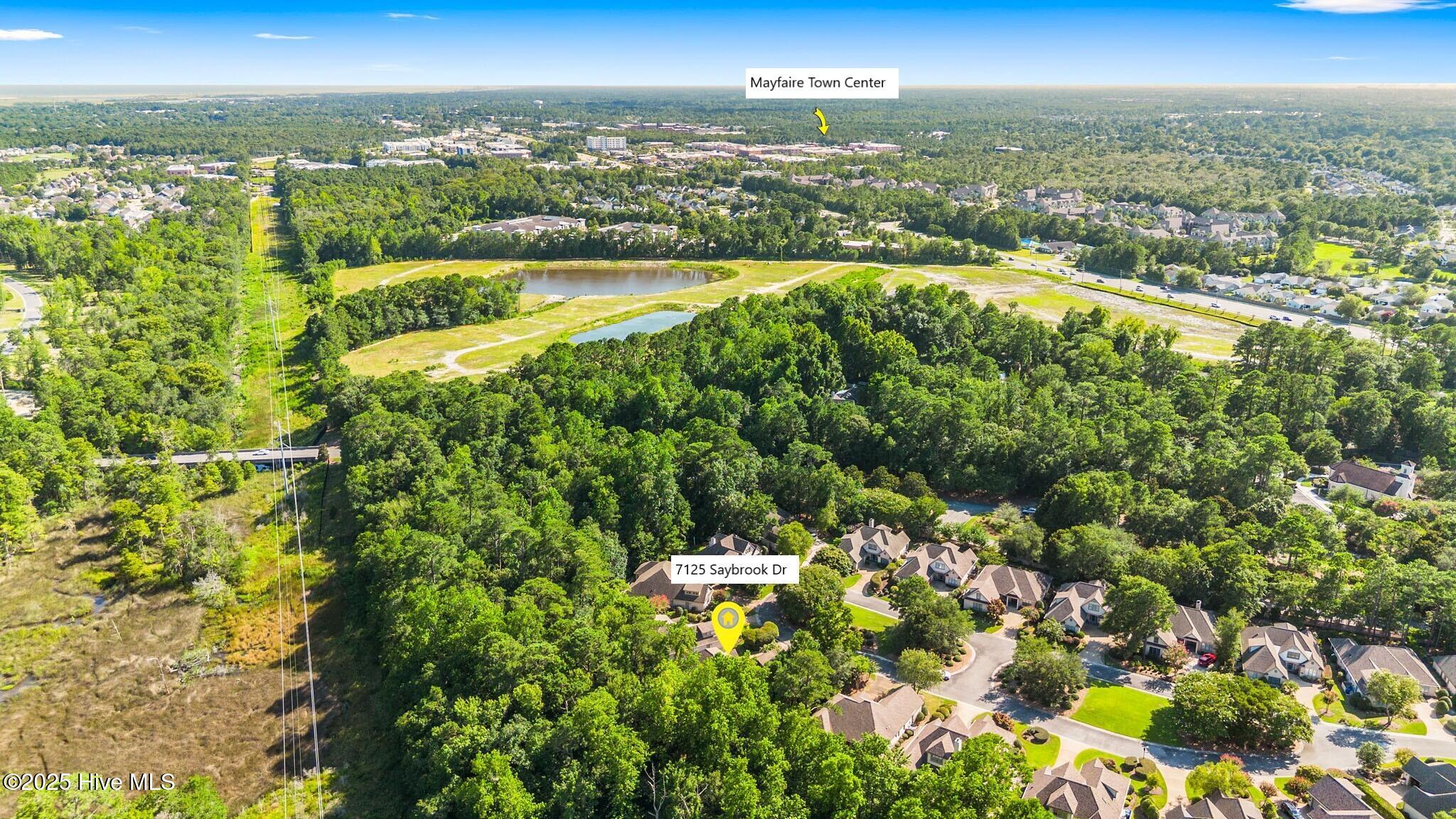 100520389 | Photo 79