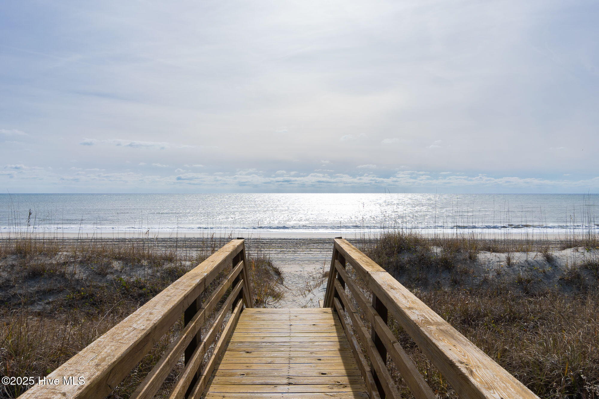 100543765 | Photo 22